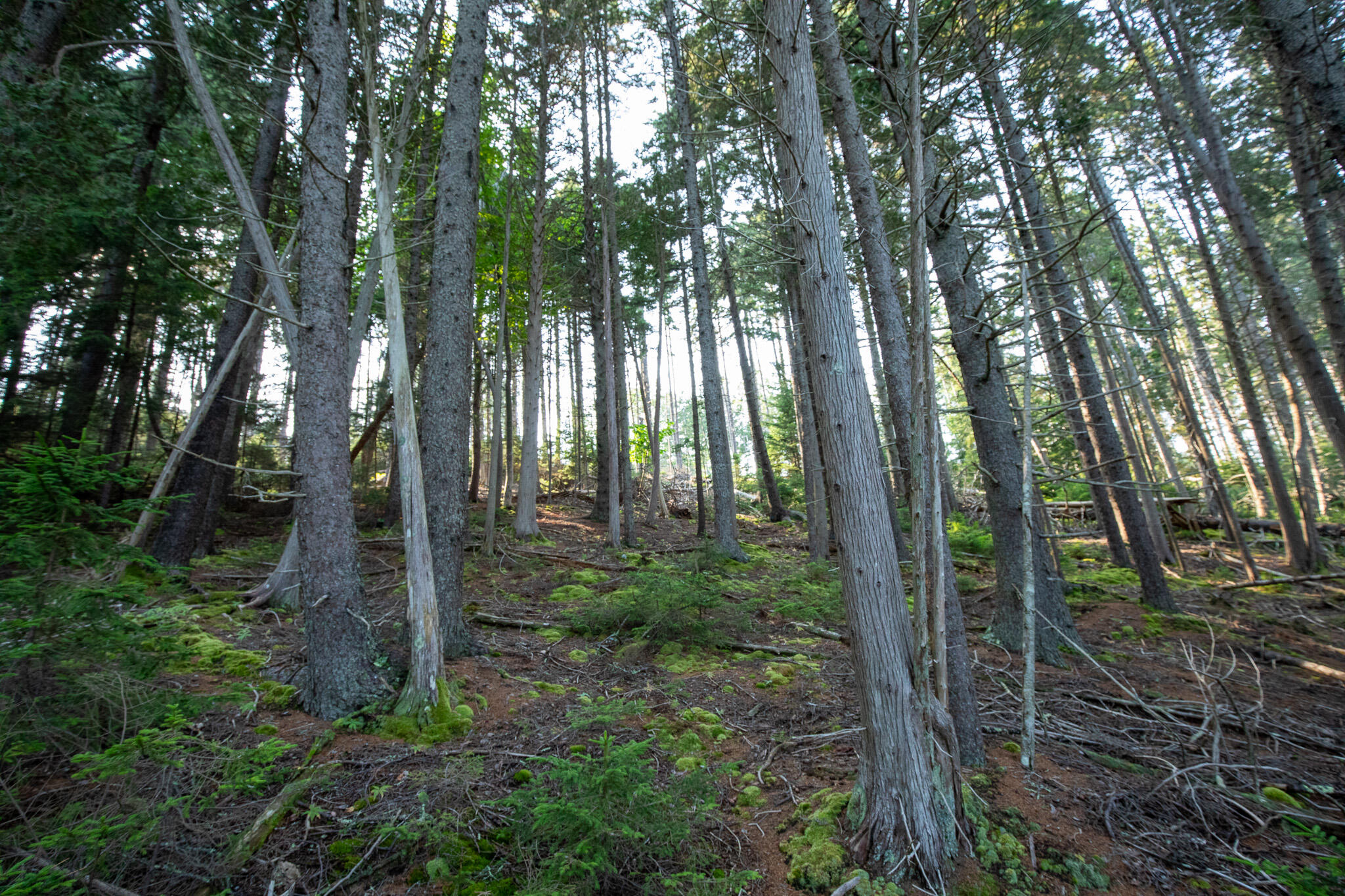 0 Bayview Road UNIT 2, Harpswell, ME, 04066