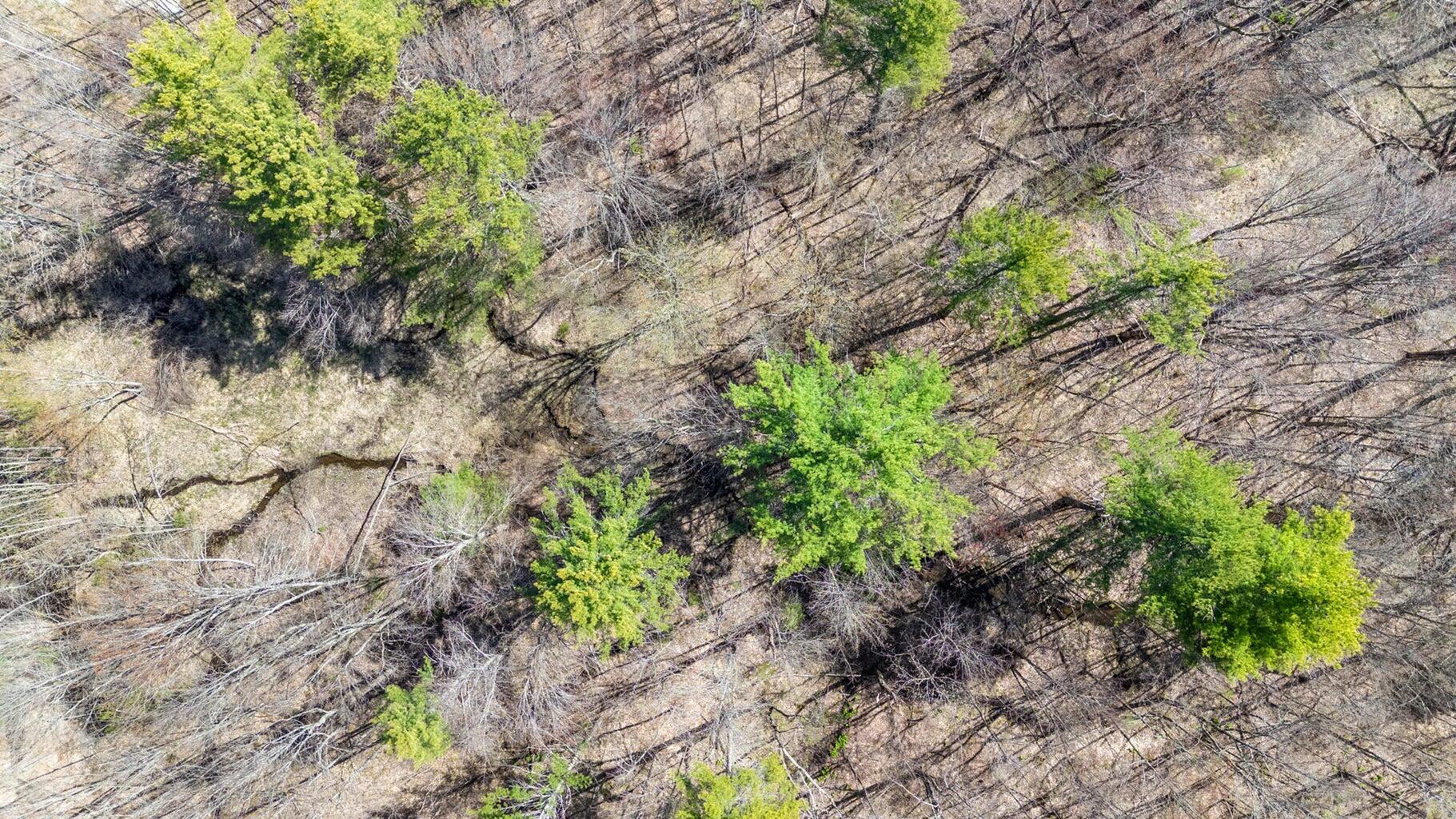 0 Scarlet Way, Lebanon, ME, 04027