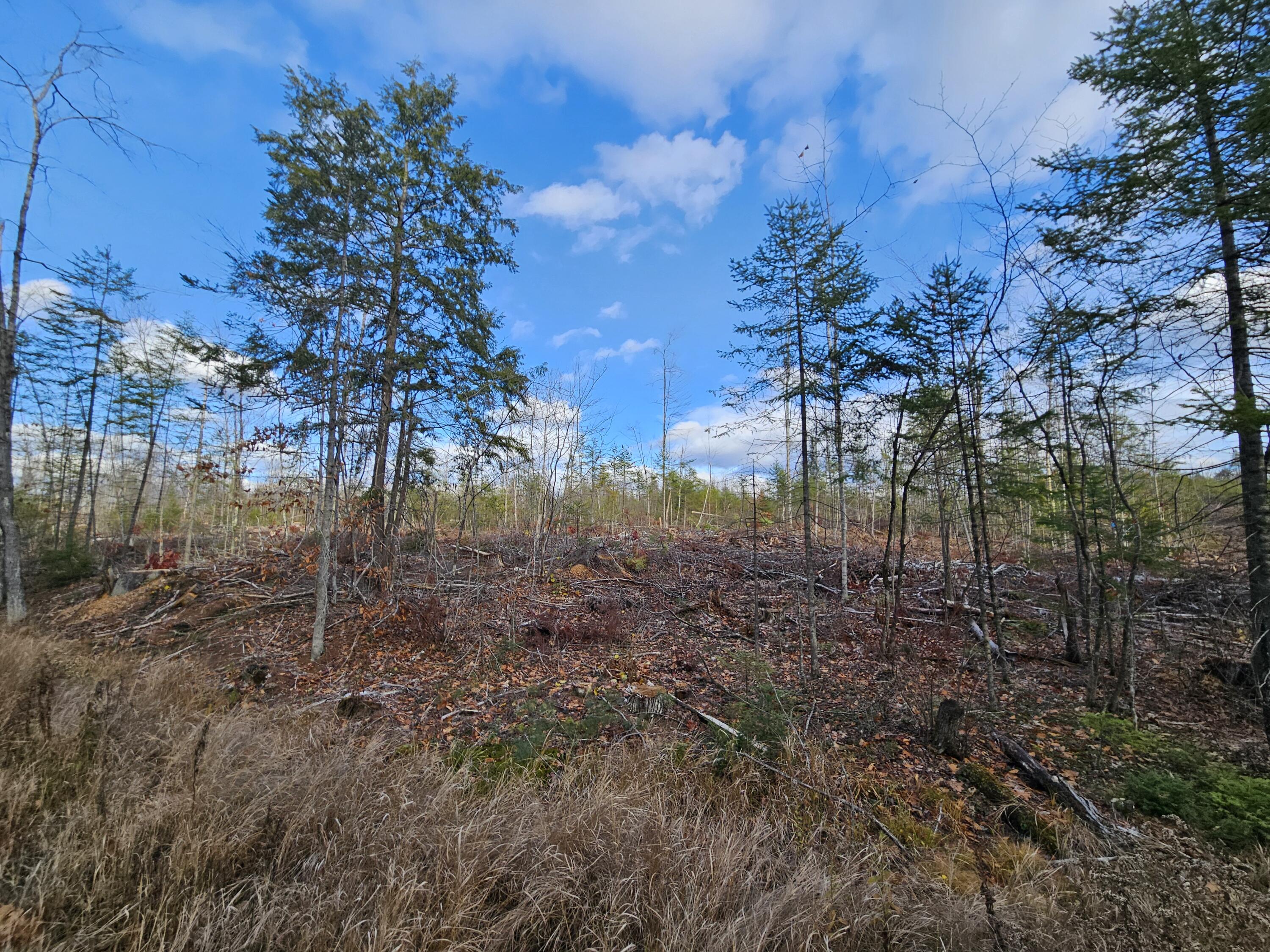 M-3 L-33-5 Cape Cod Hill Road, New Sharon, ME, 04955