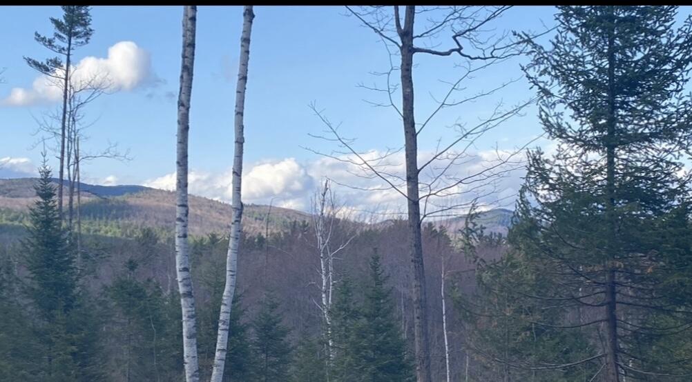 Lot 2 Olde Heritage Place, Winslow, ME, 04901