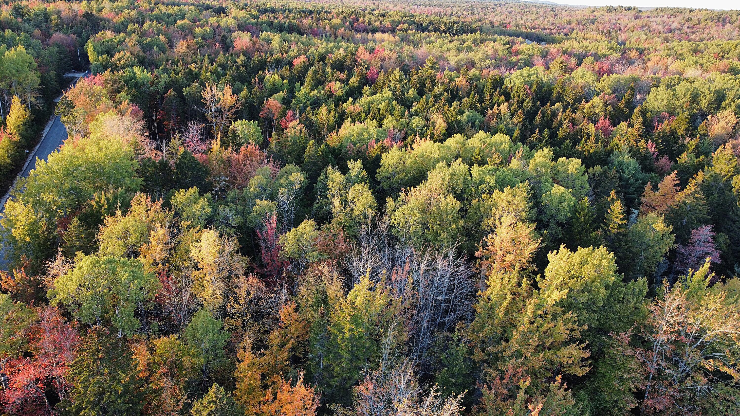 023-003-4 Walters Road, Gouldsboro, ME, 04607