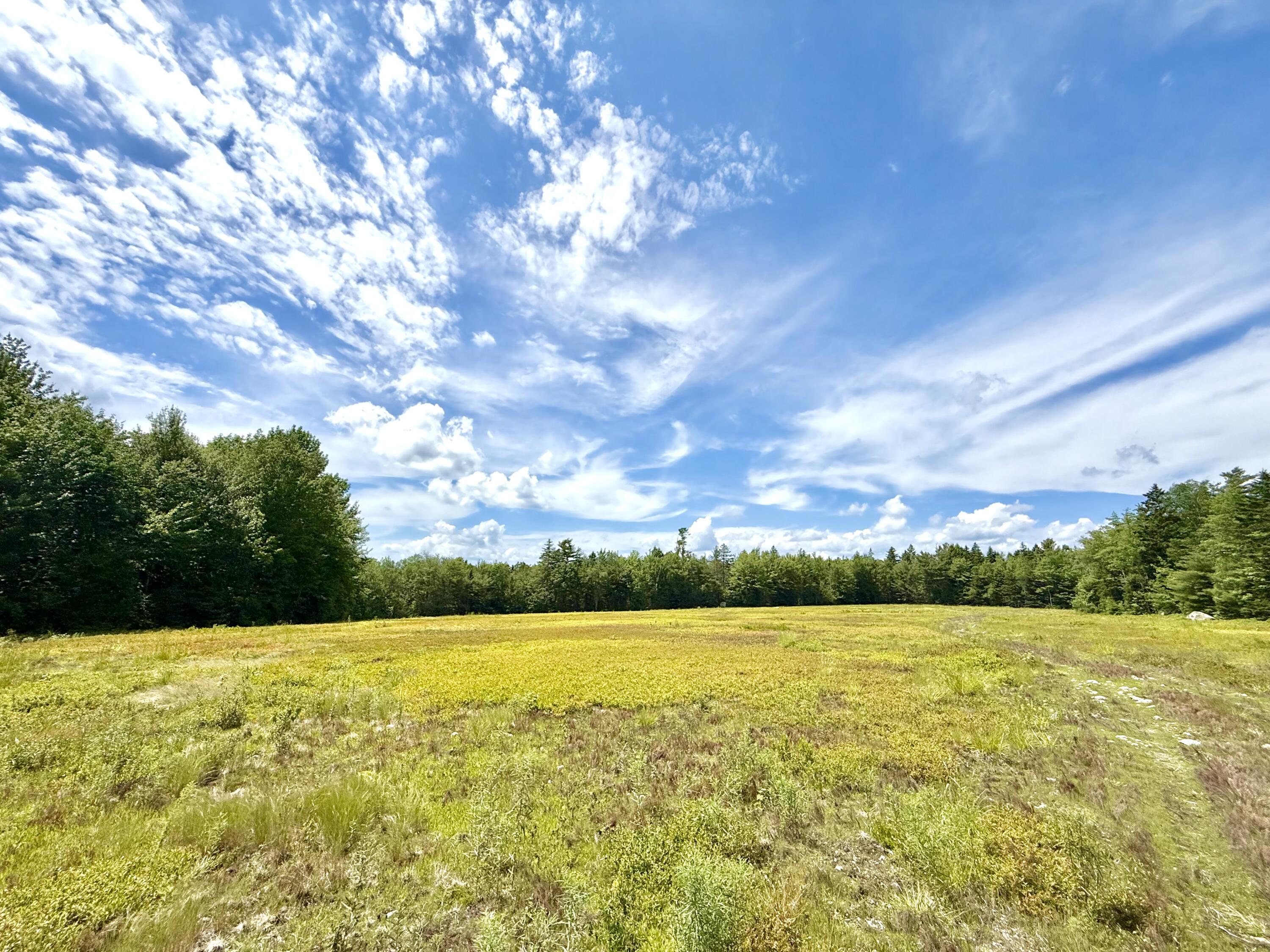 MAP13LOT9 Martins Ridge Road, Franklin, ME, 04634