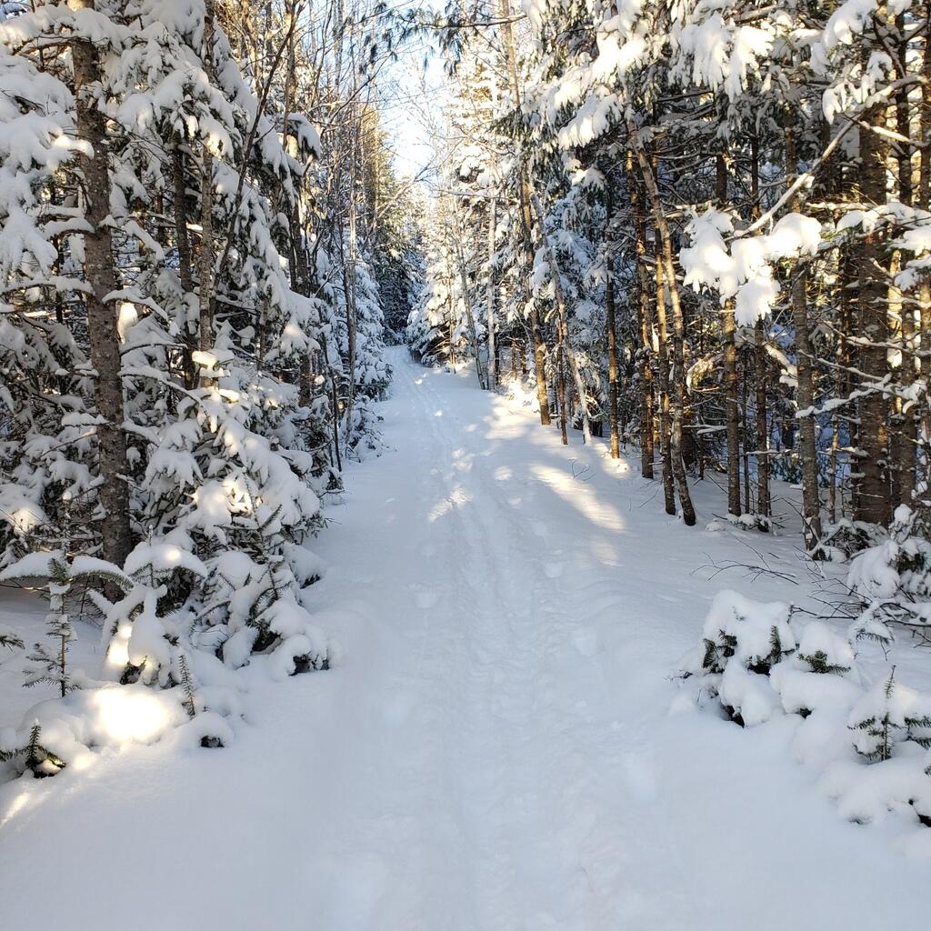 27 Prairie Road, Salem Twp, ME, 04983