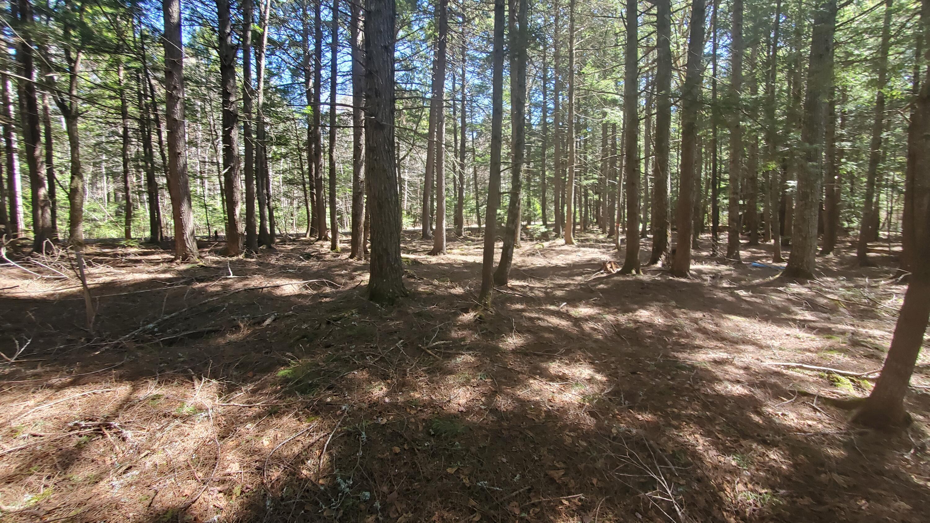 307 Lakeville Shores Road, Lakeville, ME, 04487