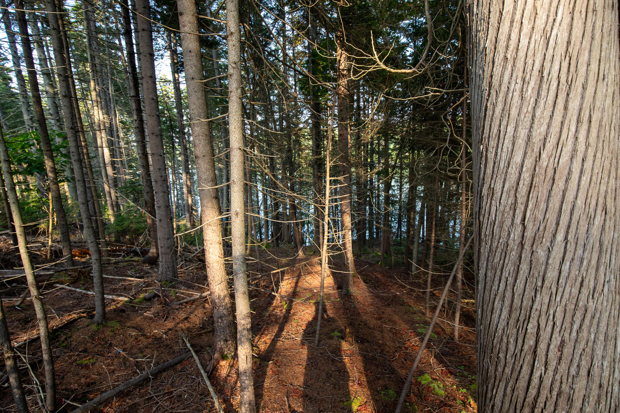 0 Bayview Road UNIT 2, Harpswell, ME, 04066