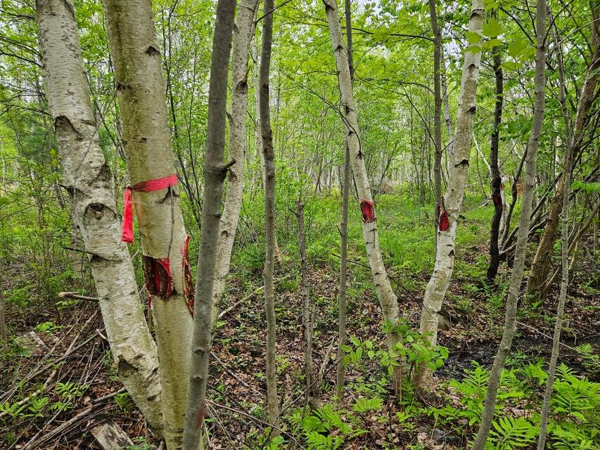 681 Mile Hill Road, New Sharon, ME, 04955