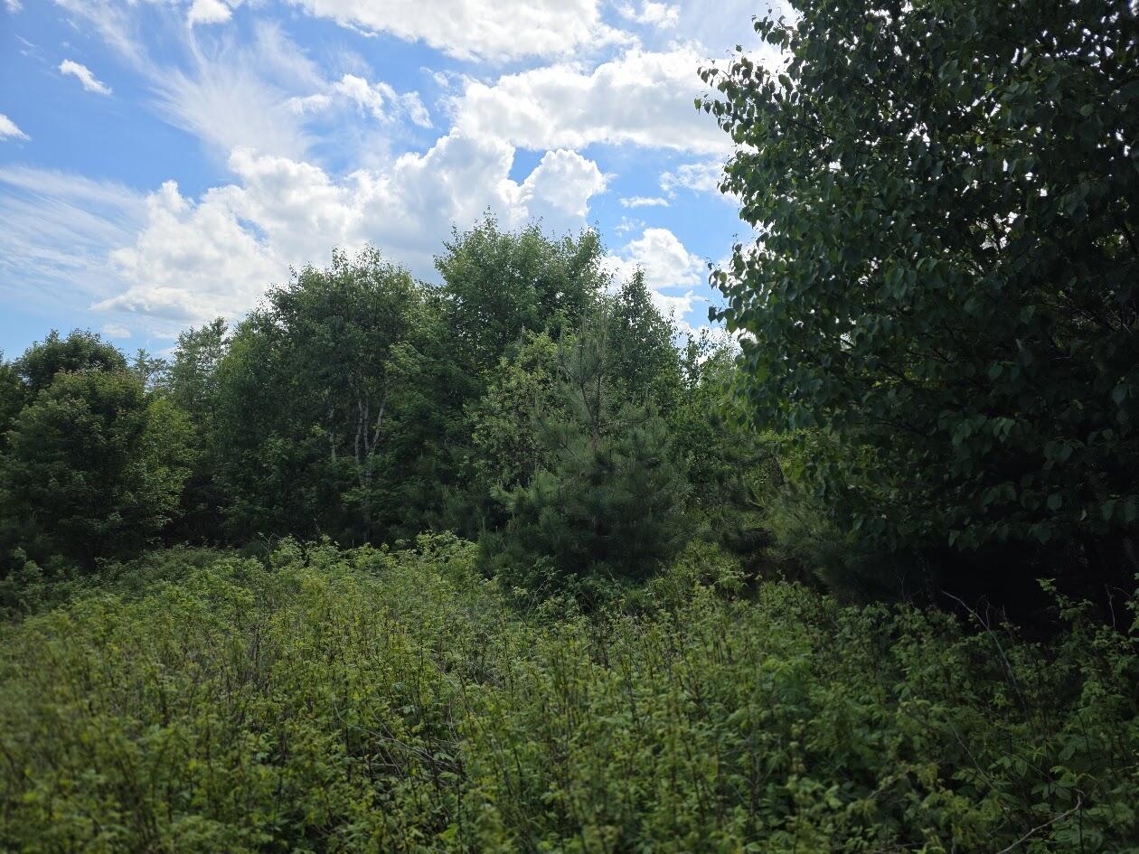 0 E Pleasant River Lake Road, Beddington, ME 04622 20260617_144519