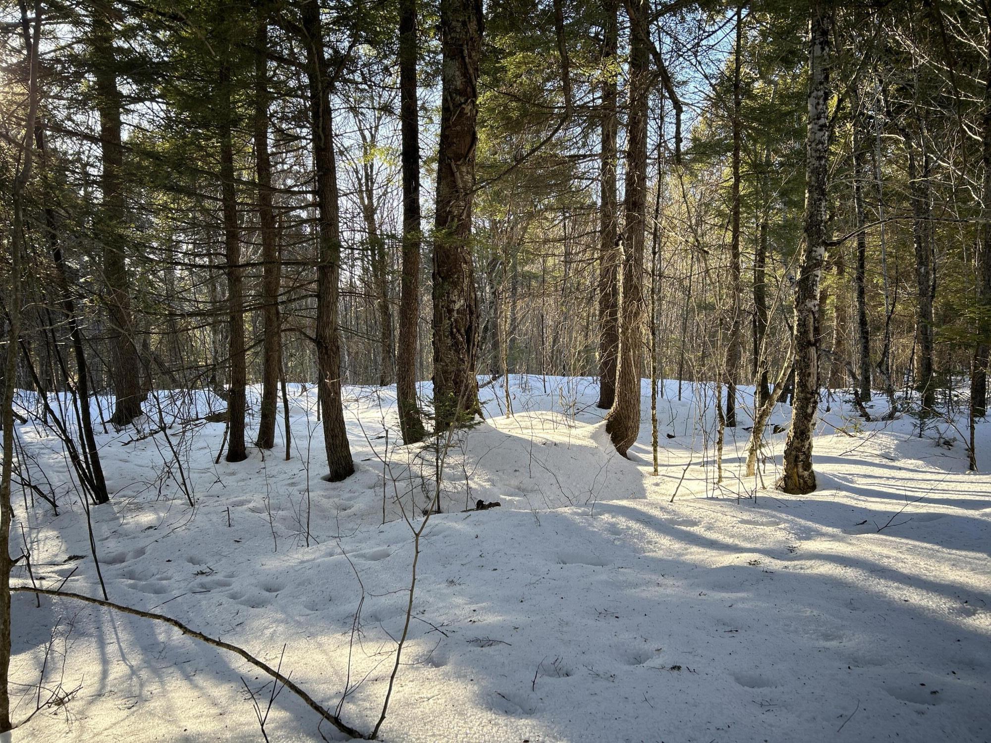 M7L22 Nelson Ridge Road N, Washington, ME, 04574