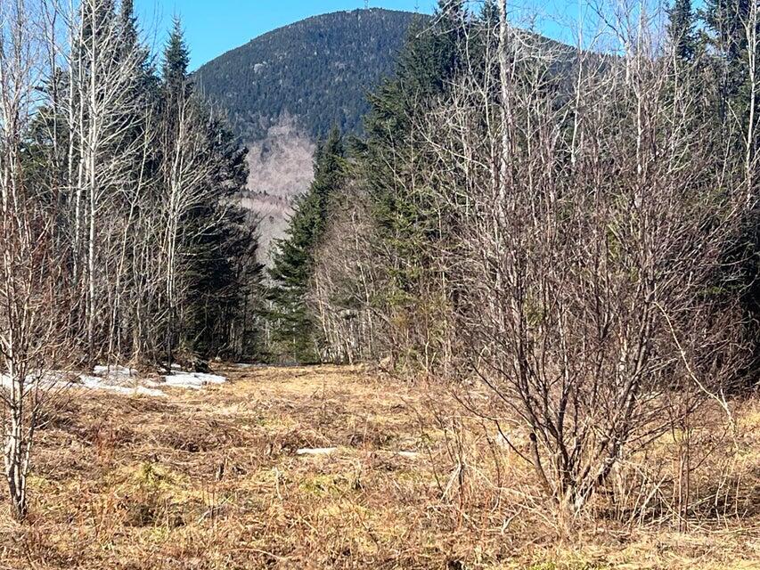 36 Chimney Rock Road, Temple, ME, 04984