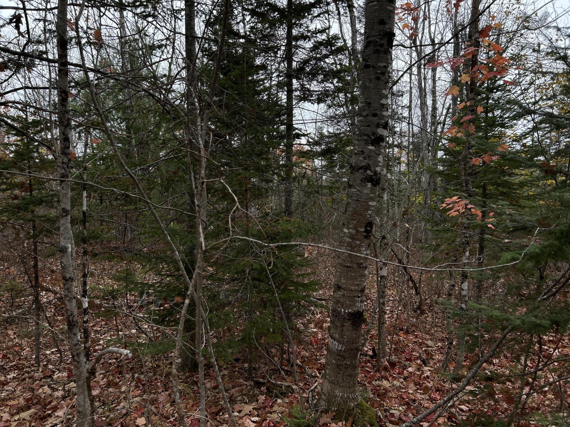 M4L18 Bog Road, Jackson, ME, 04921