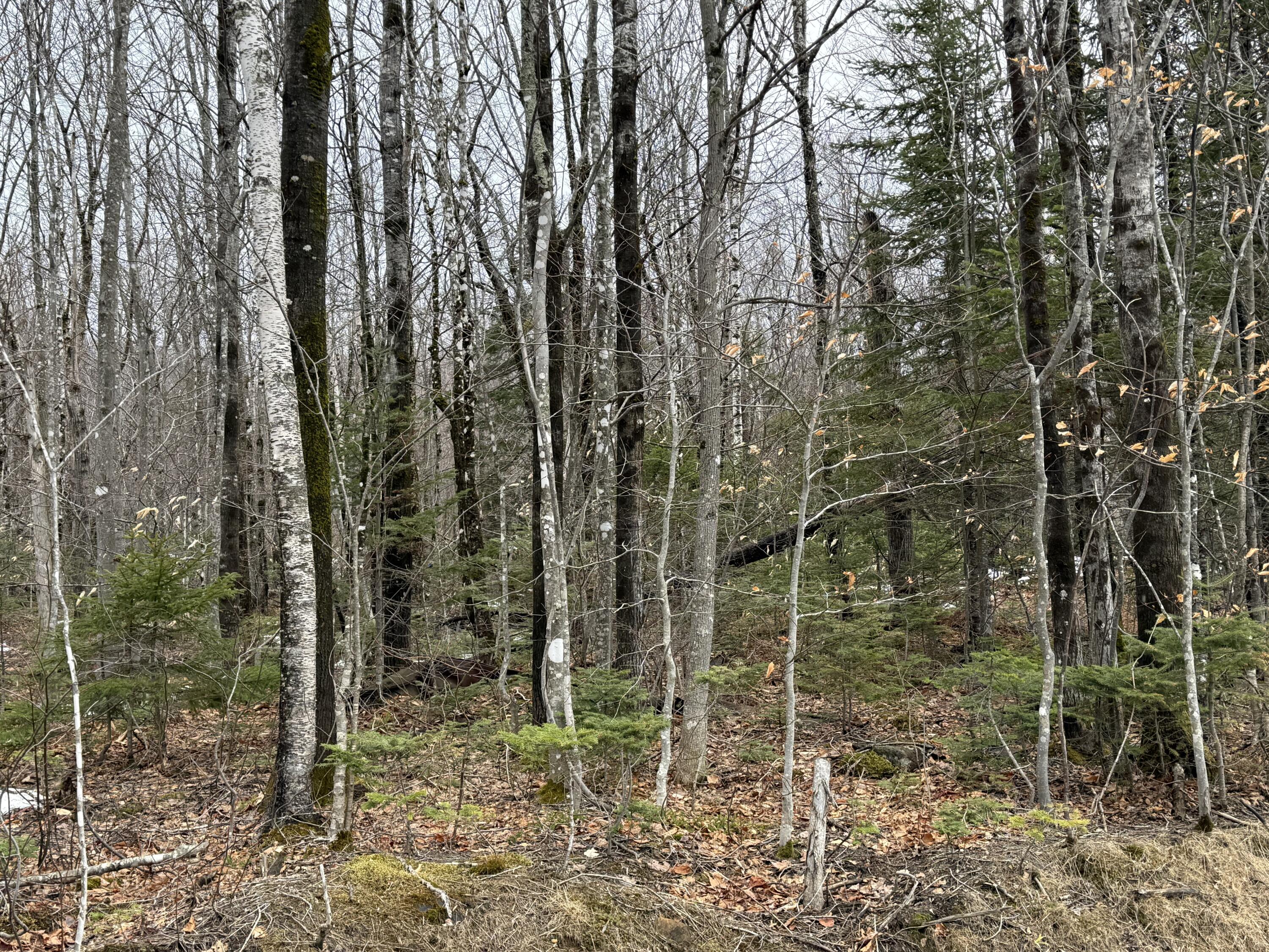 Lot 13W Mountain View Drive, Temple, ME, 04984
