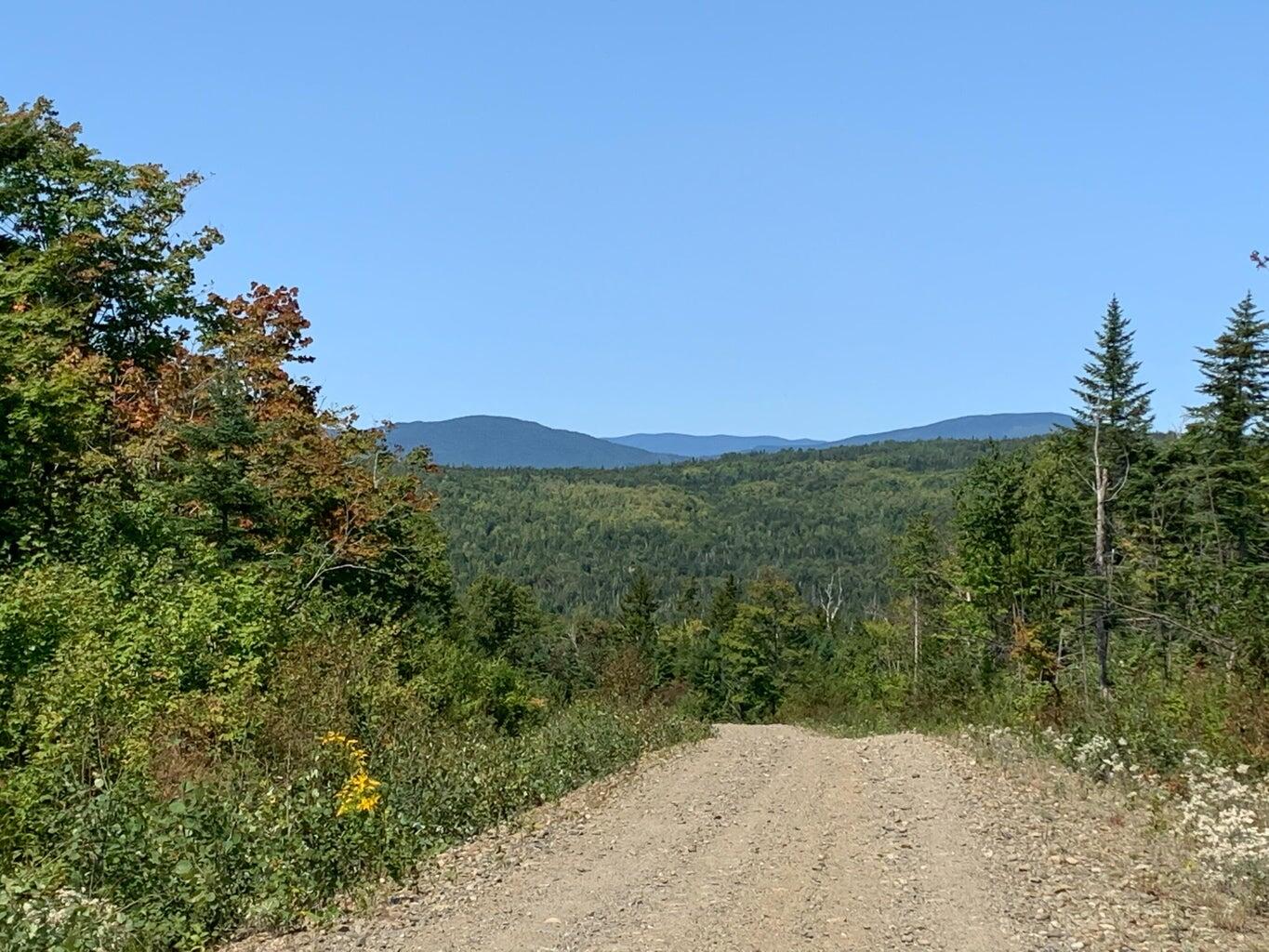 Lot 16 Mill Brook Road, Sandy River Plt, ME, 04970