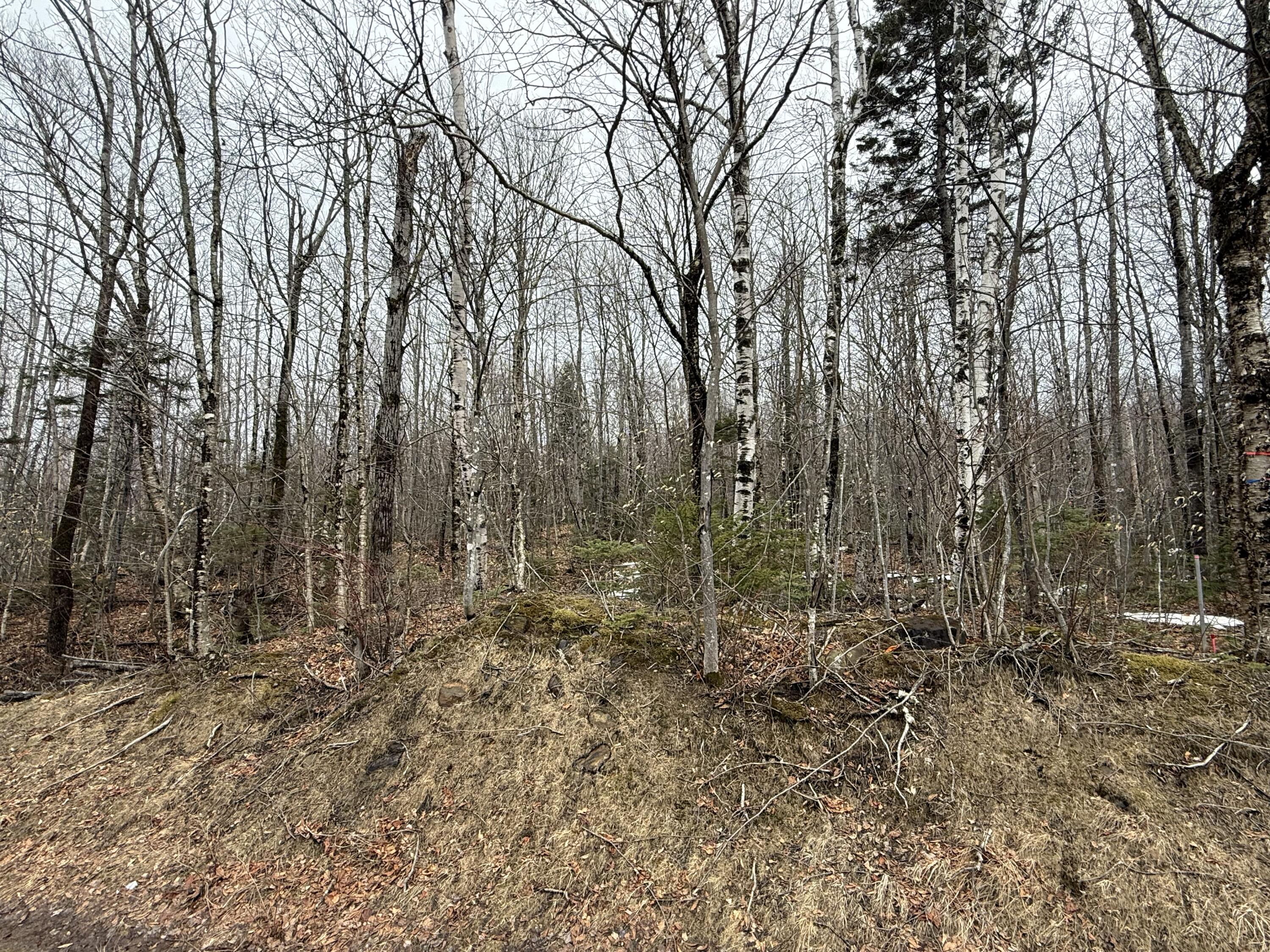 Lot 13W Mountain View Drive, Temple, ME, 04984