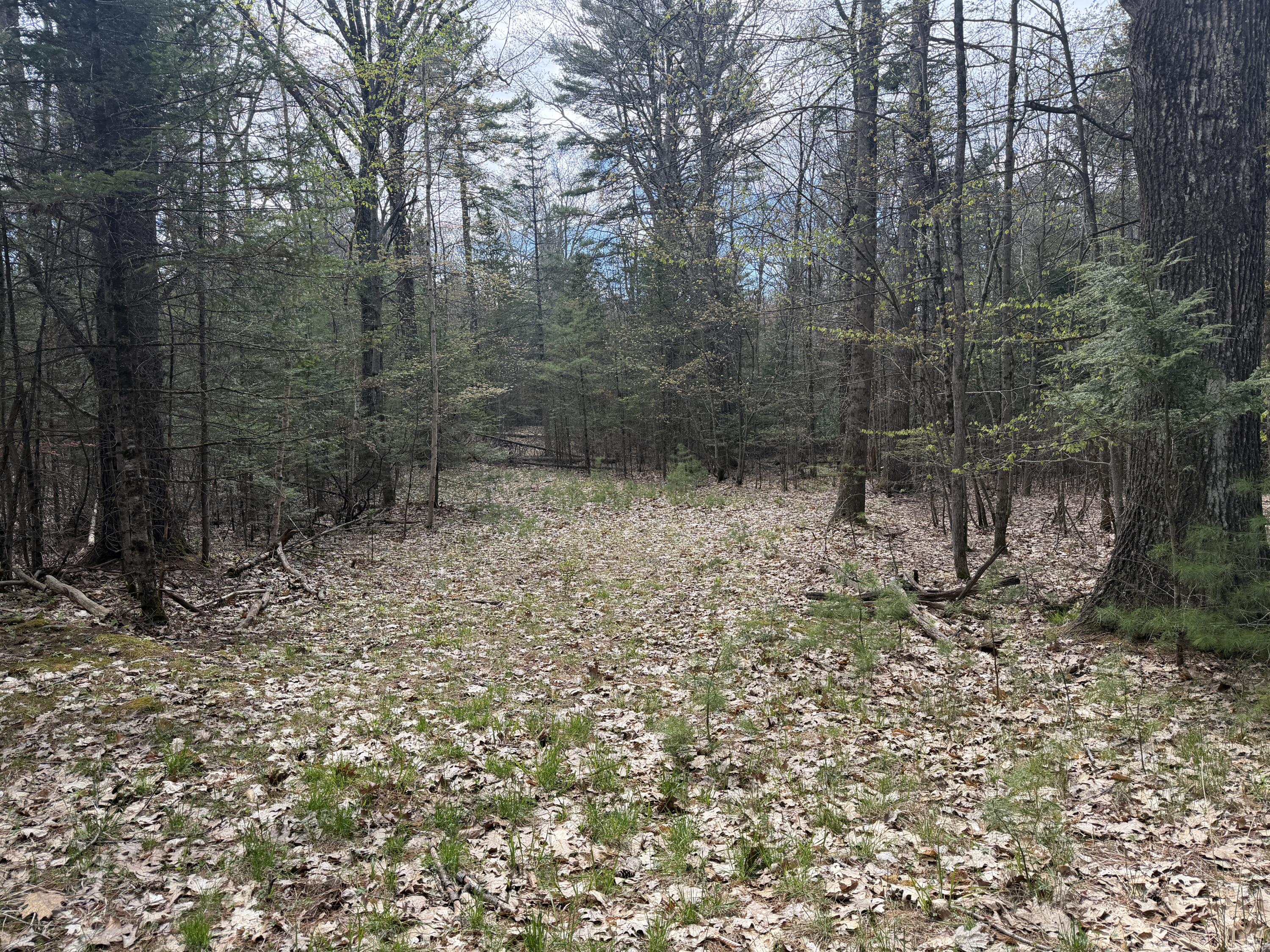 Photo of 0 Hodsdon Road Pownal ME 04069