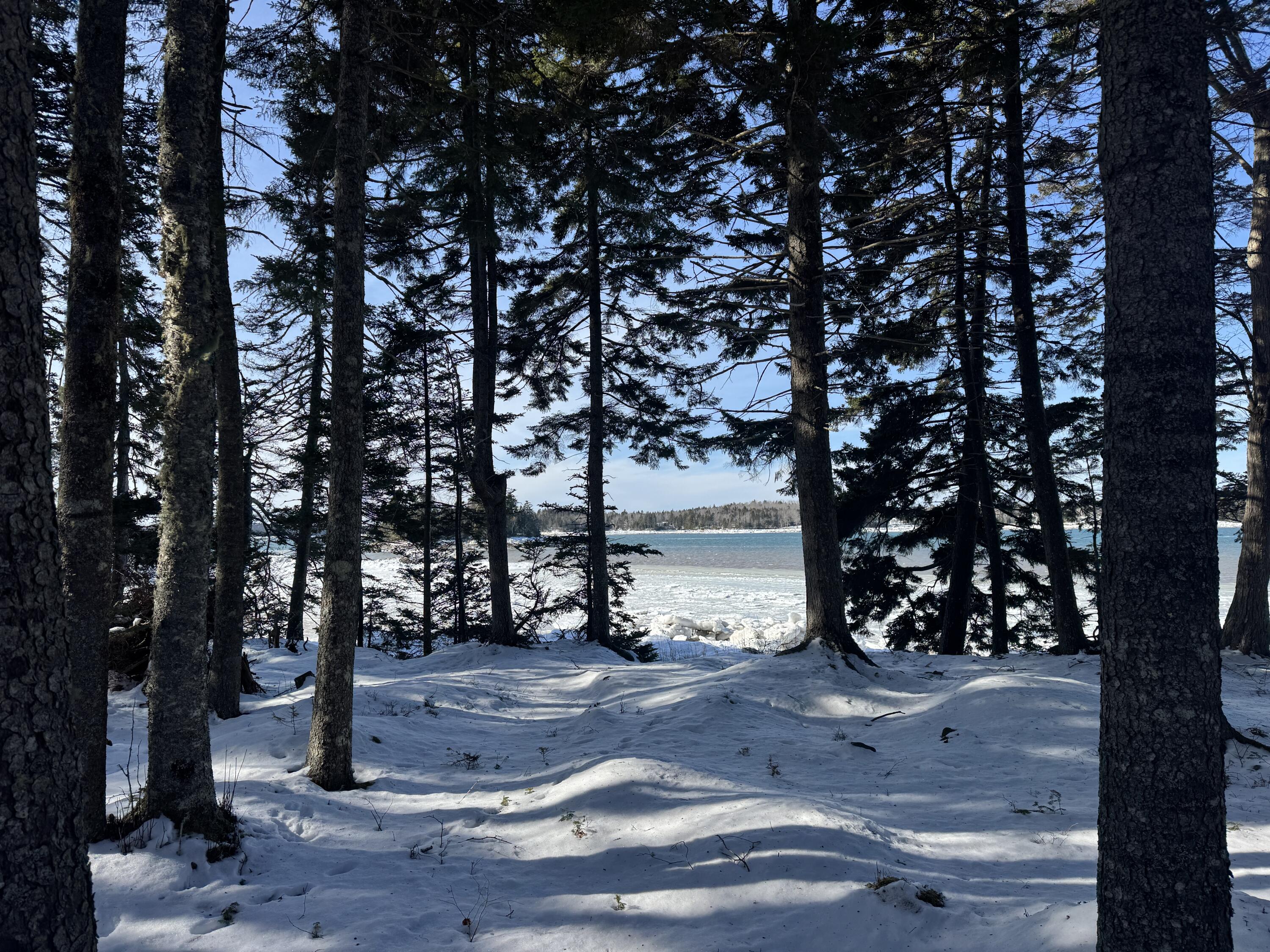 Lot B Fort Williams Road, Harrington, ME, 04643