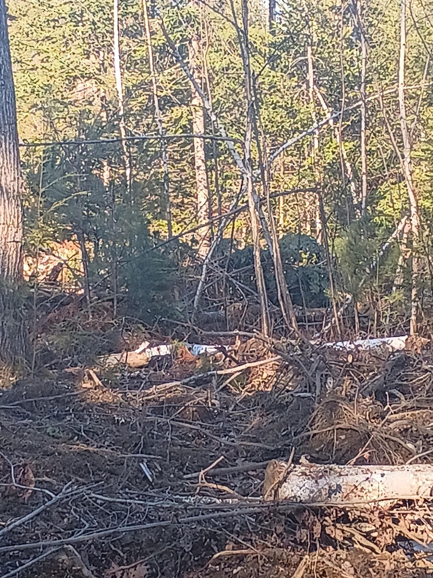 848 Old Stage Road, Woolwich, ME, 04579