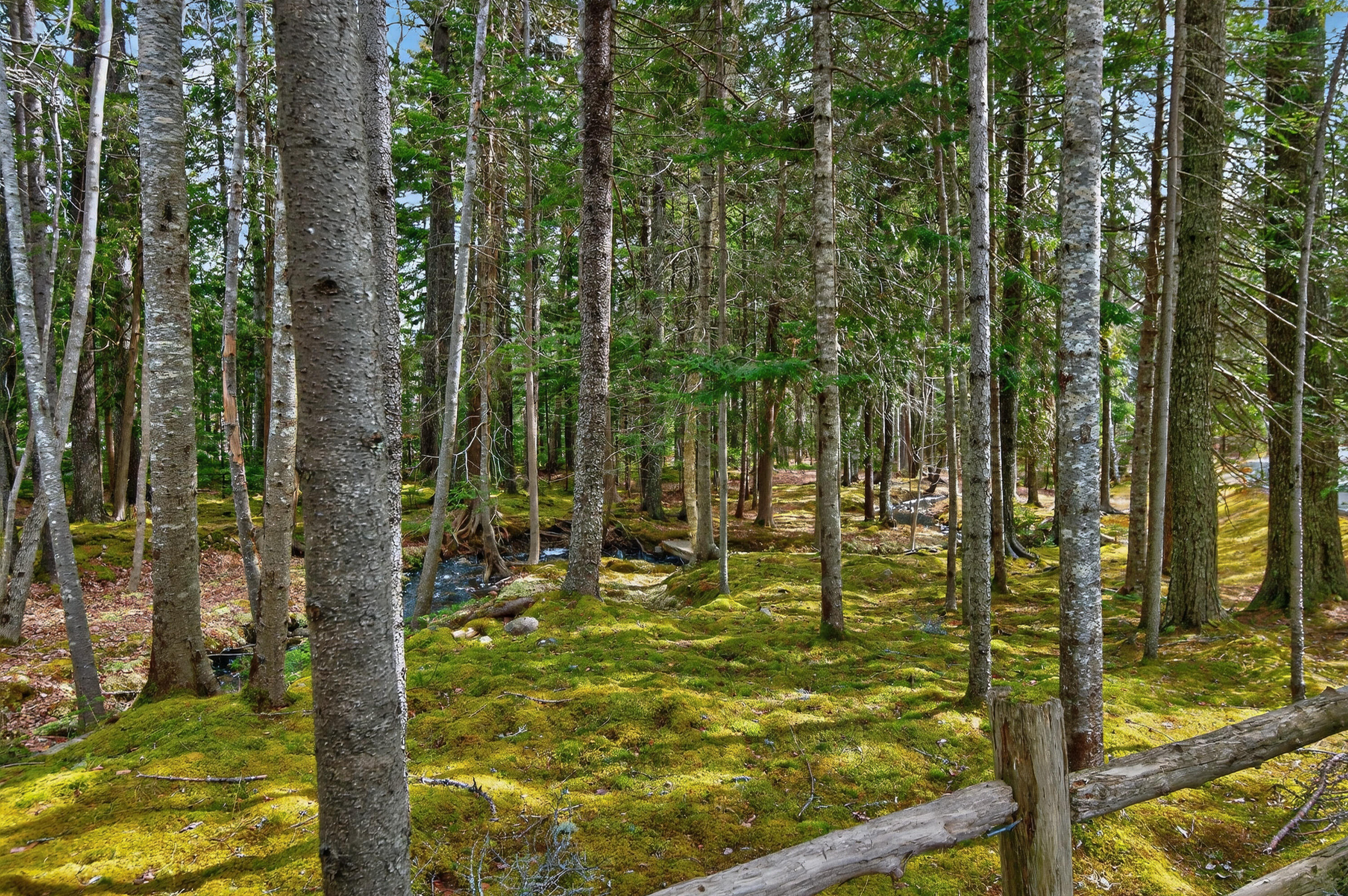 93 Cooksey Drive, Mount Desert, ME, 04660