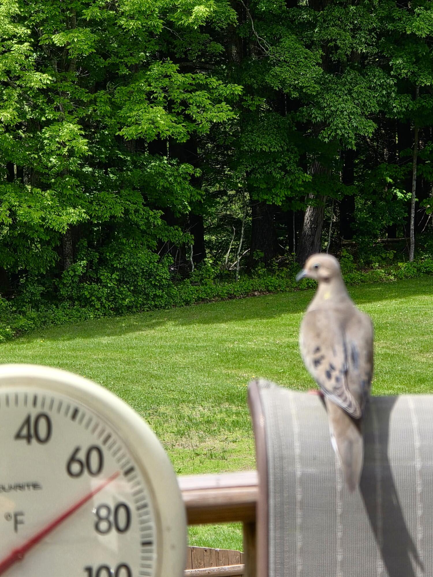 28 Messina Drive, Skowhegan, ME, 04976