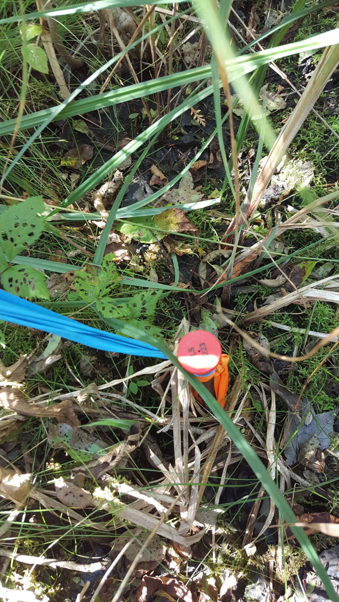 M4 96 & 99 Parker Pond Road, Jay, ME, 04239