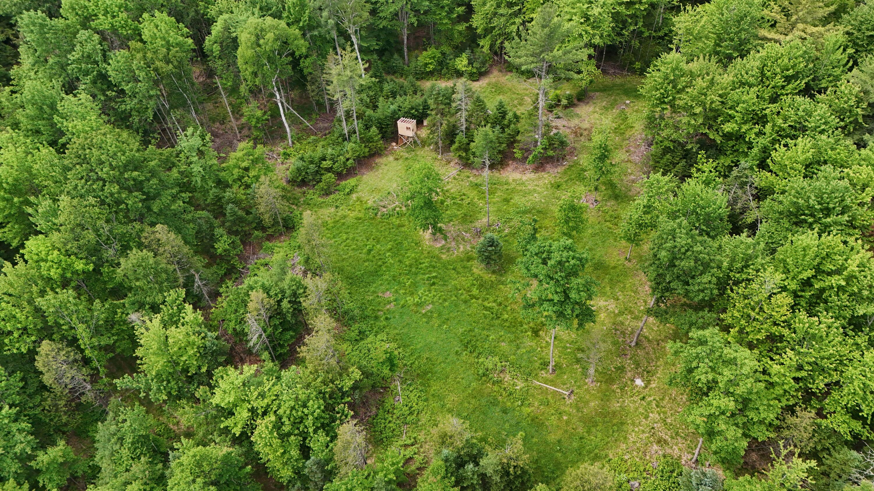 22 Monument Road, Abbot, ME 04406 VUSA8927