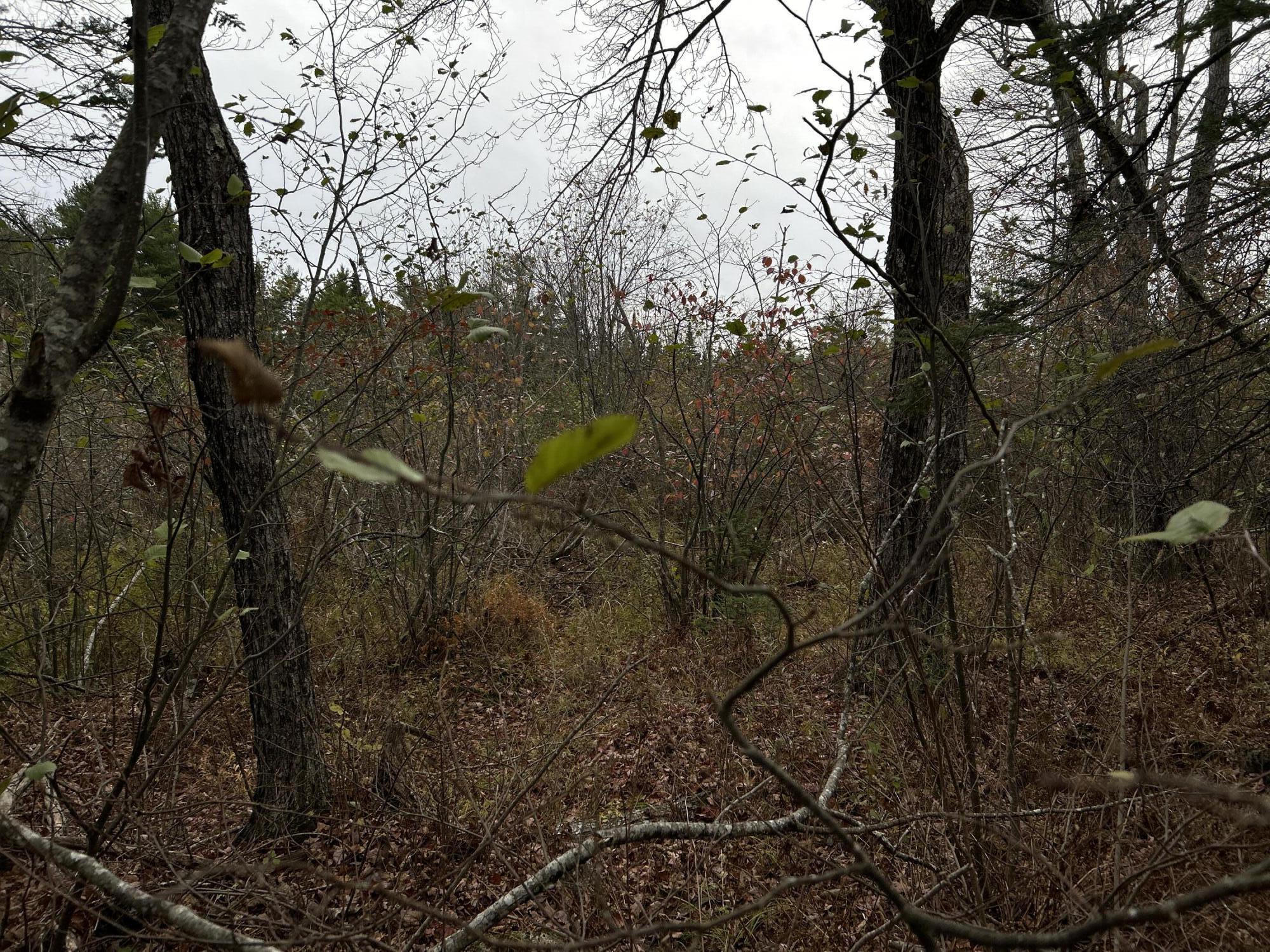 M4L18 Bog Road, Jackson, ME, 04921