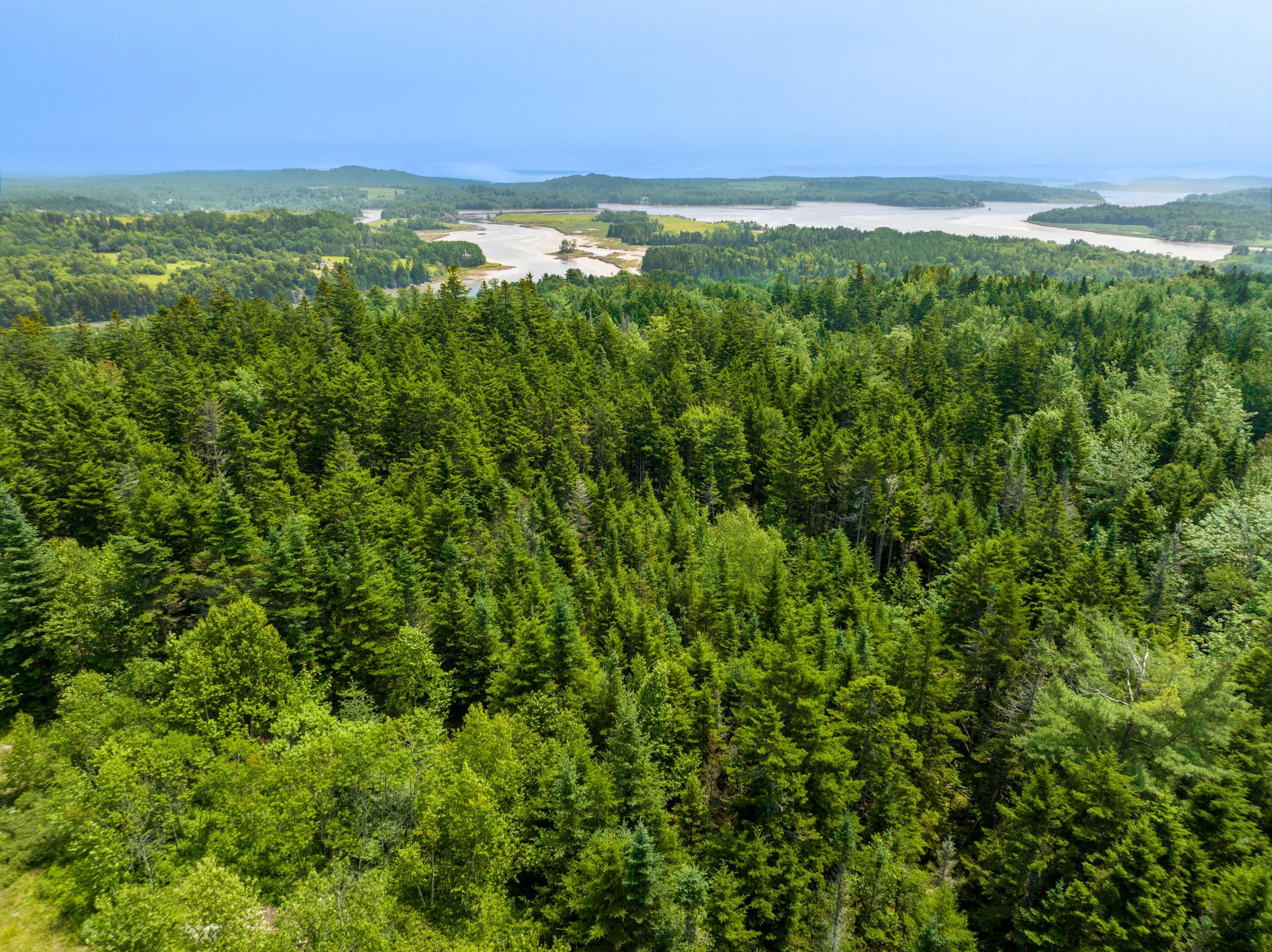 65 Lookout Mountain Road, East Machias, ME, 04630