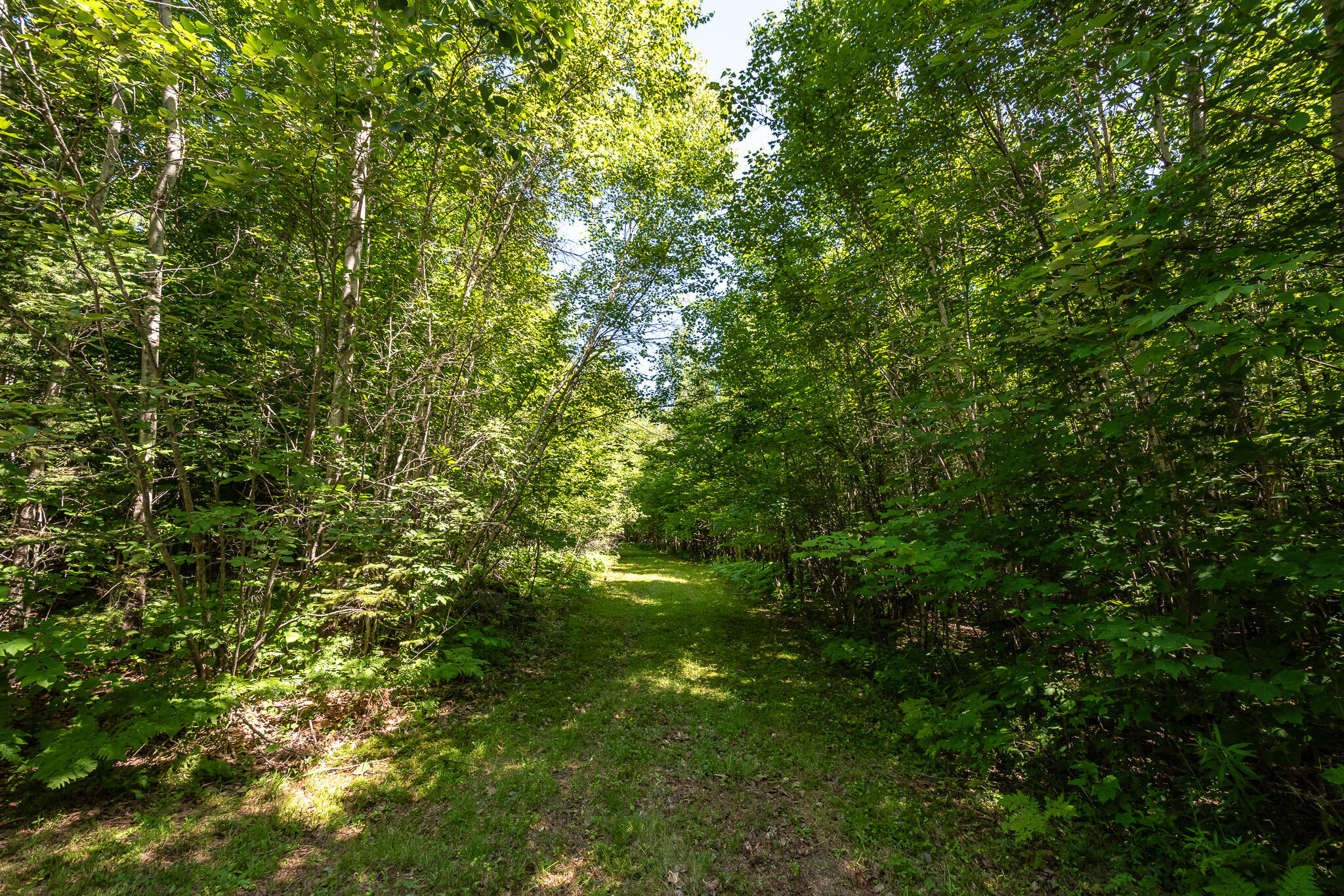 Lot 18-5 Woodland Lane, #Map 2, Brownville, ME 04414 DSC_0273