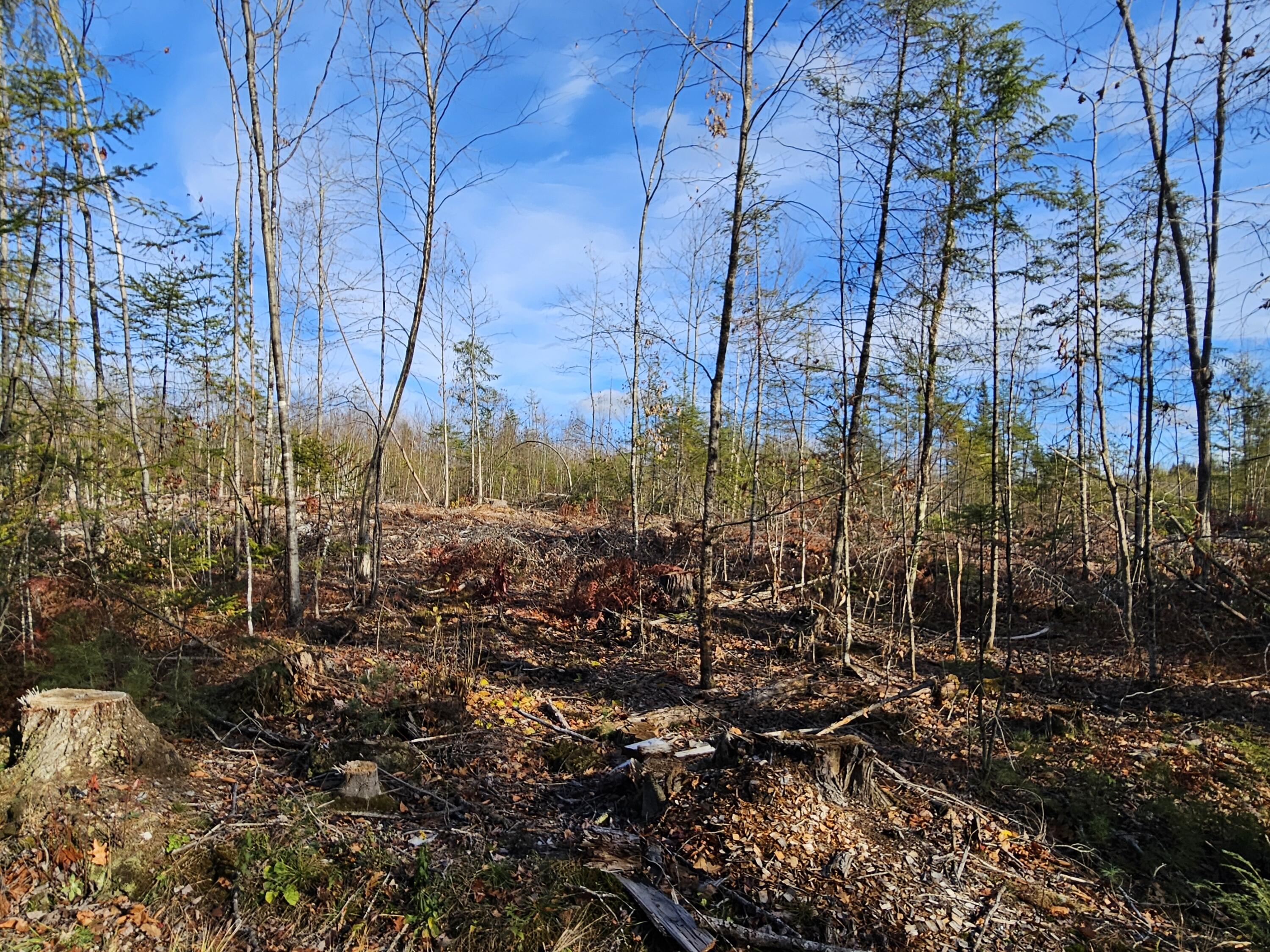 M-3 L-33-5 Cape Cod Hill Road, New Sharon, ME, 04955