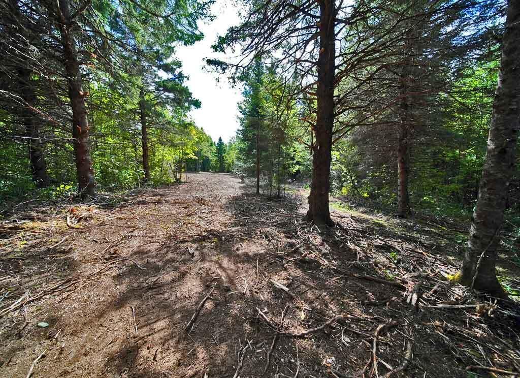 Lot 27 Brewer Road, Cary Plt, ME, 04471