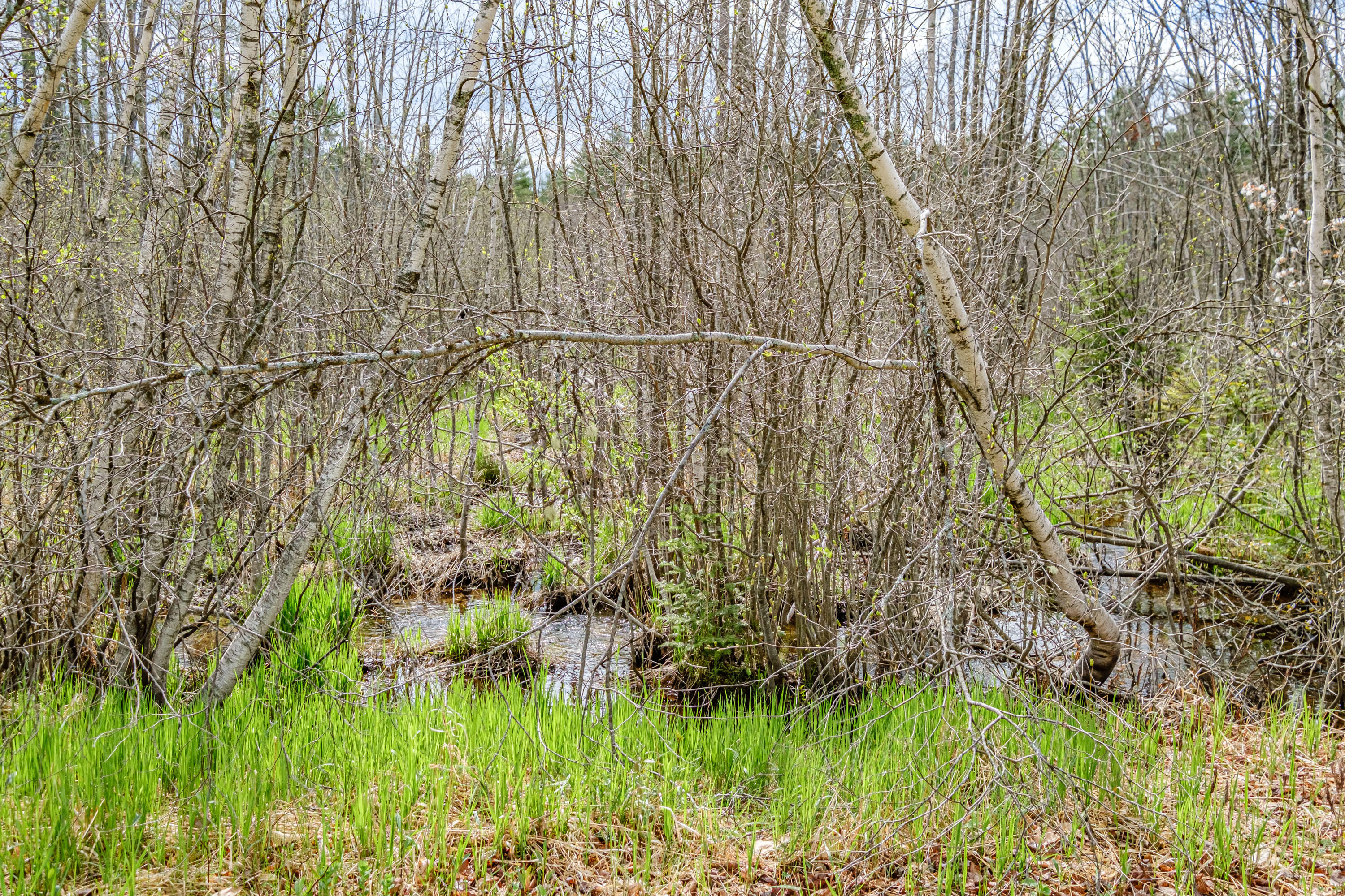 20 Bell Lane, Greenwood, ME, 04255