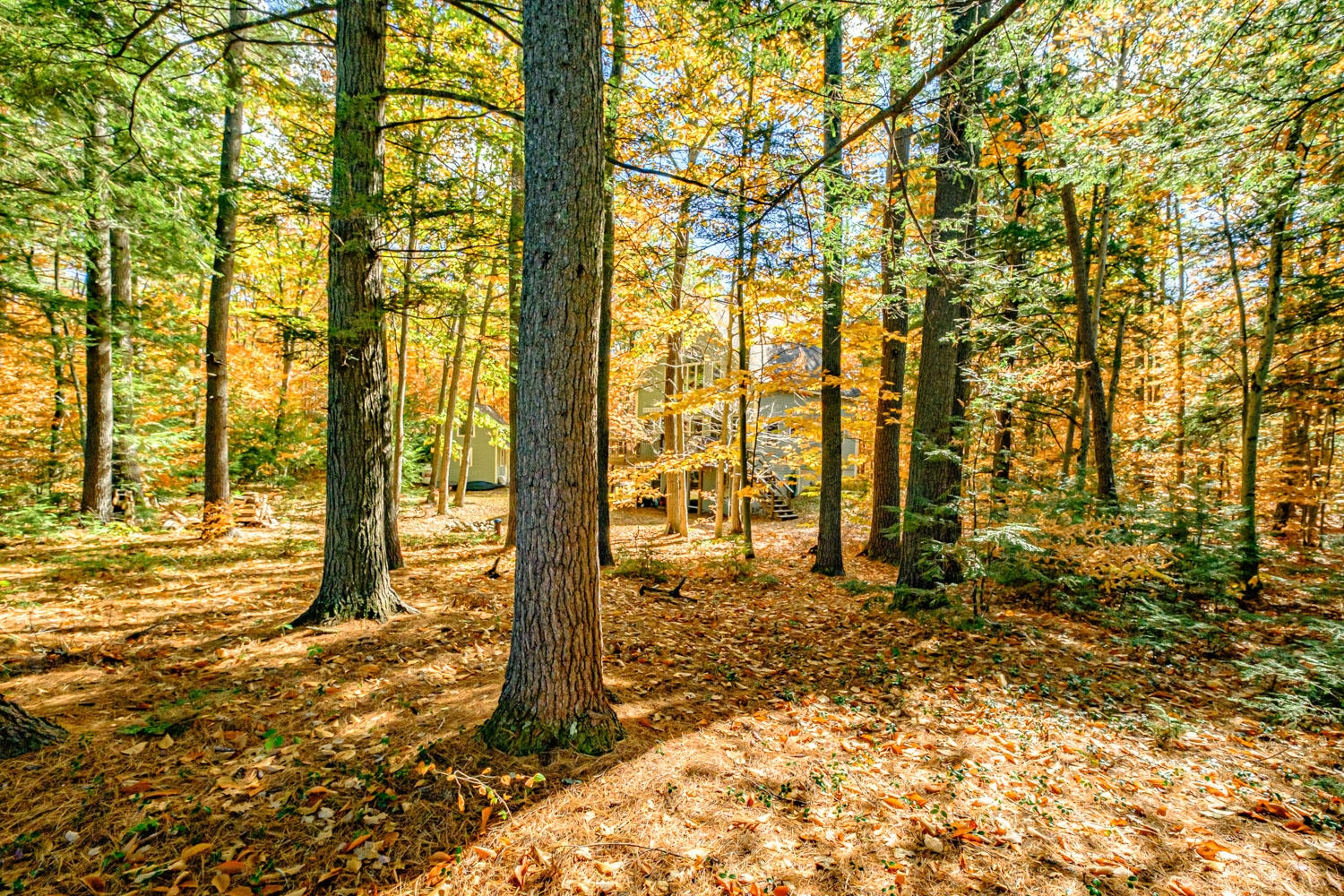 10 Oak Drive, Bethel, ME, 04217-3010