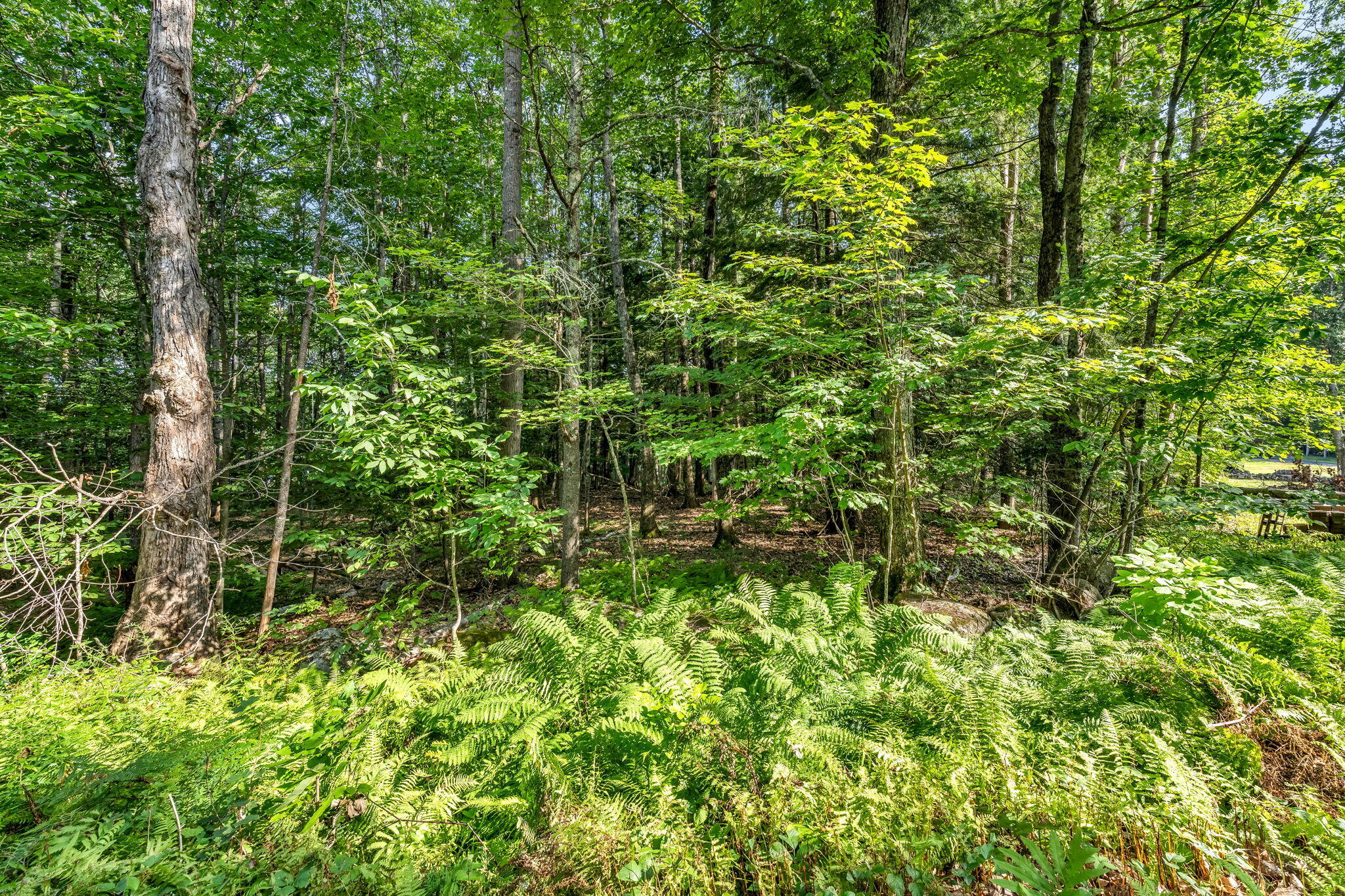 0 Sedgley Road, Greene, ME, 04236