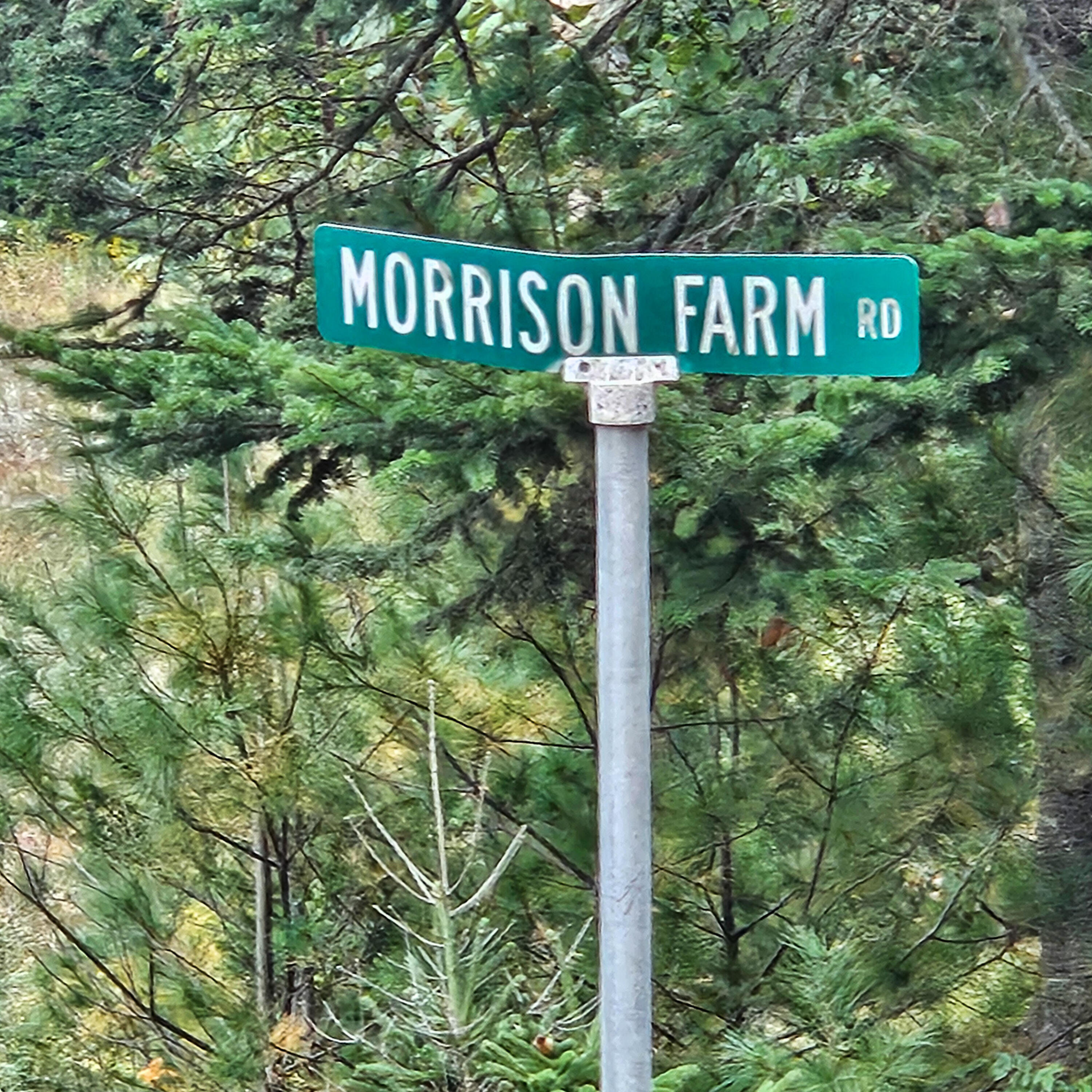 206 Morrison Farm Road, Mariaville, ME, 04605