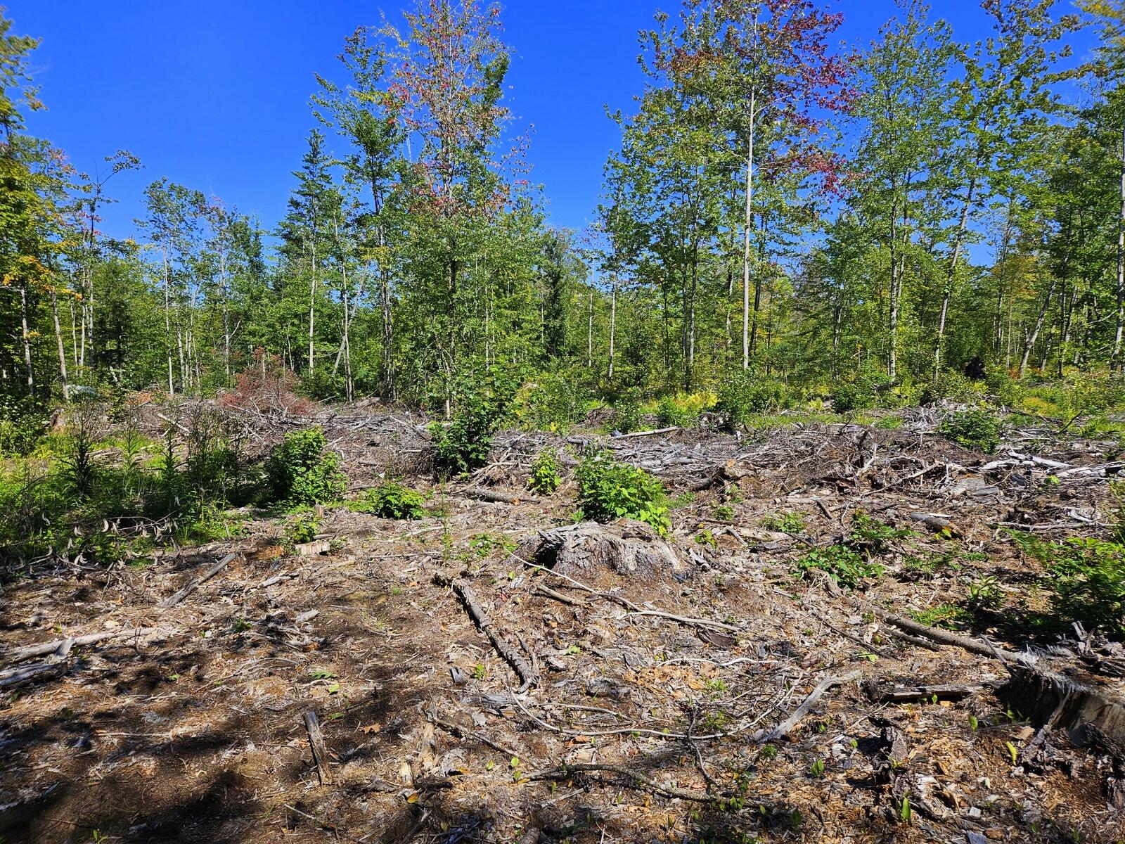 Photo of Lot 33-2 Cape Cod Hill Road New Sharon ME 04955