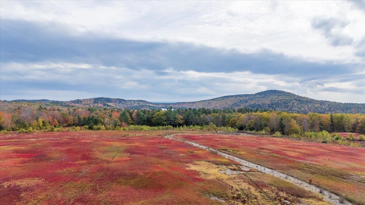 423 Beech Hill Road, Northport, ME, 04849