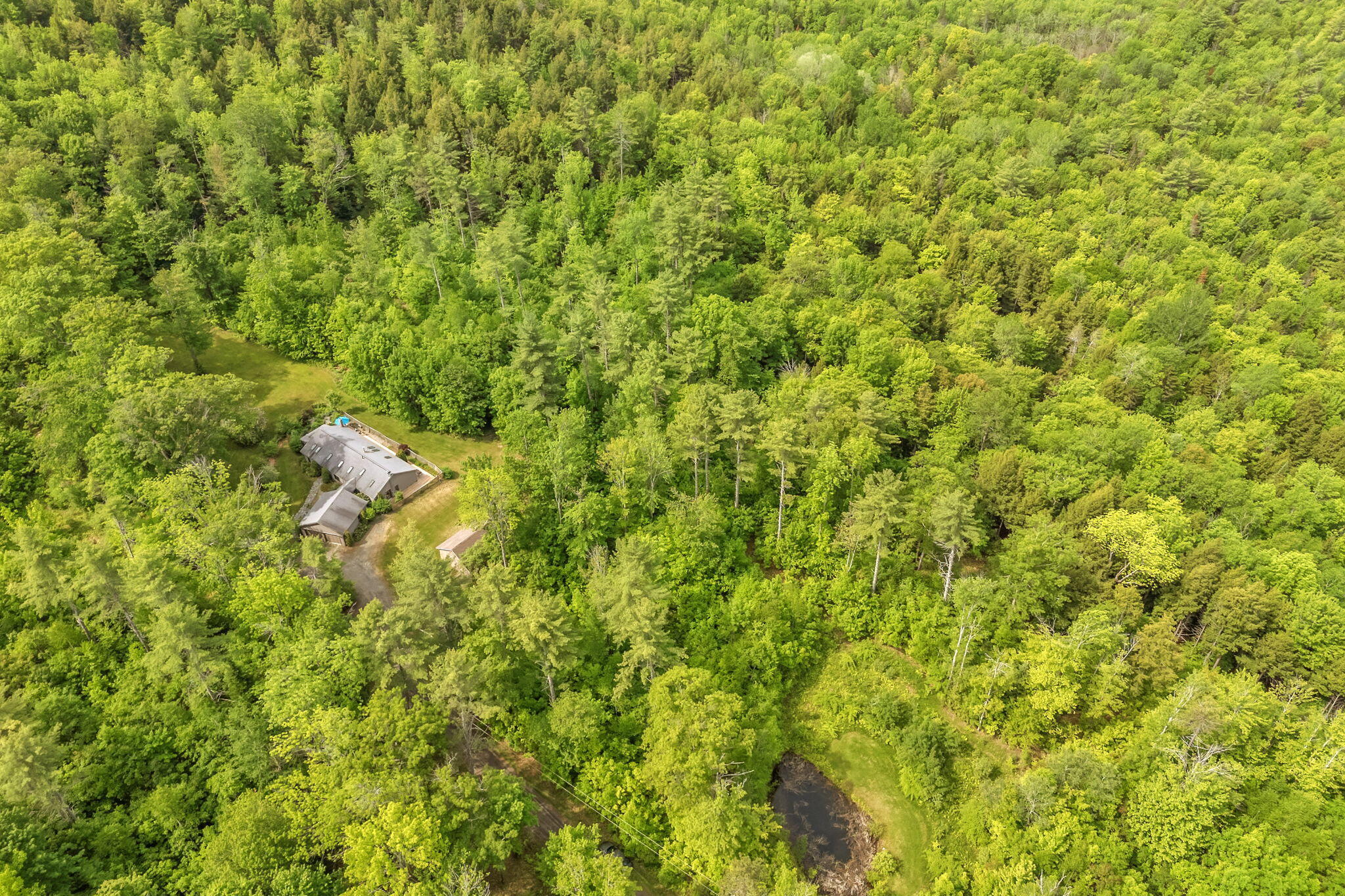 75-web-or-mls-15-raspberry-rd
