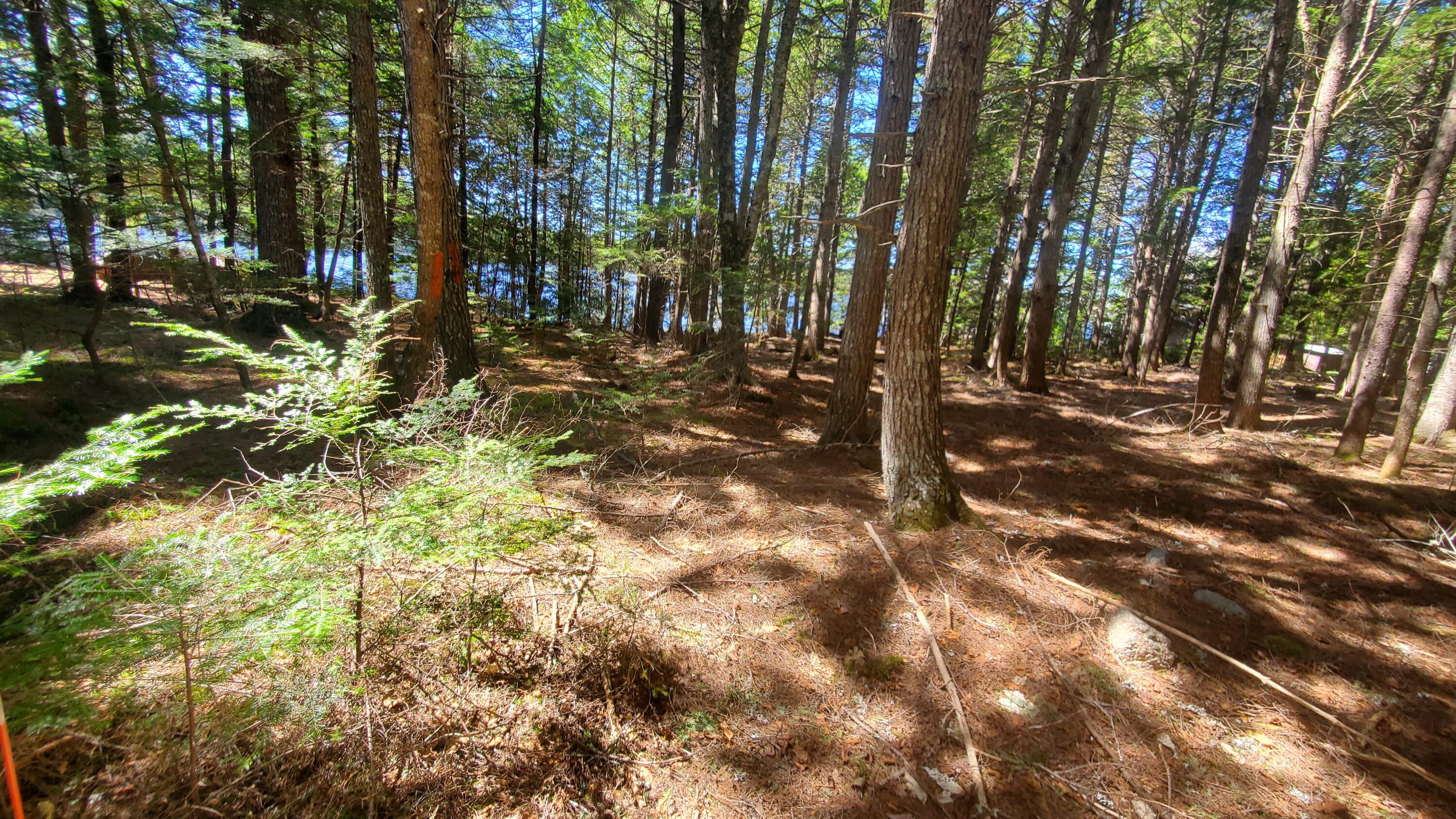 307 Lakeville Shores Road, Lakeville, ME, 04487