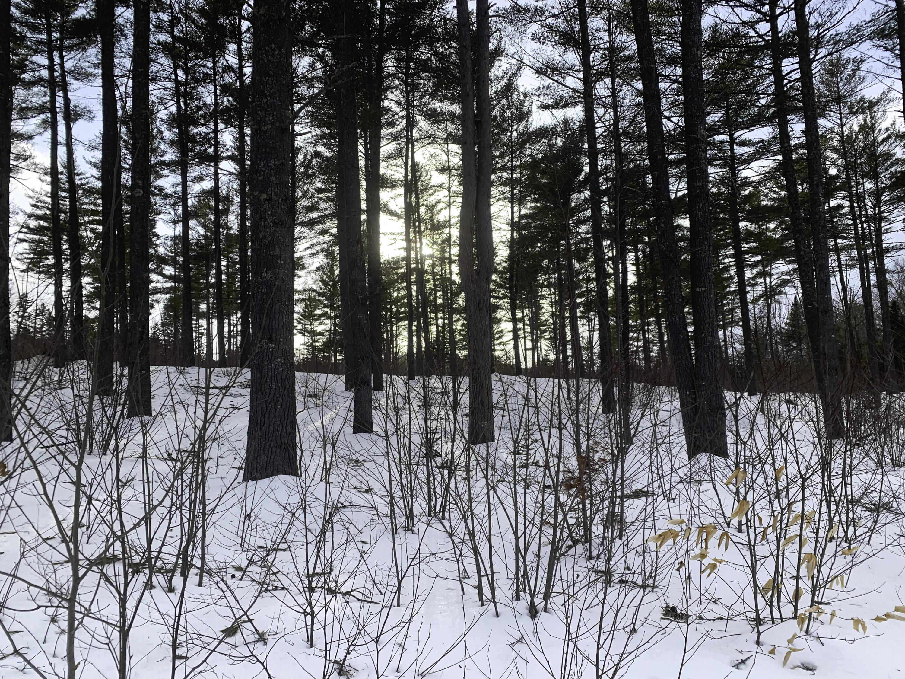Lot 1 Lyman Wheeler Road, Bethel, ME, 04217