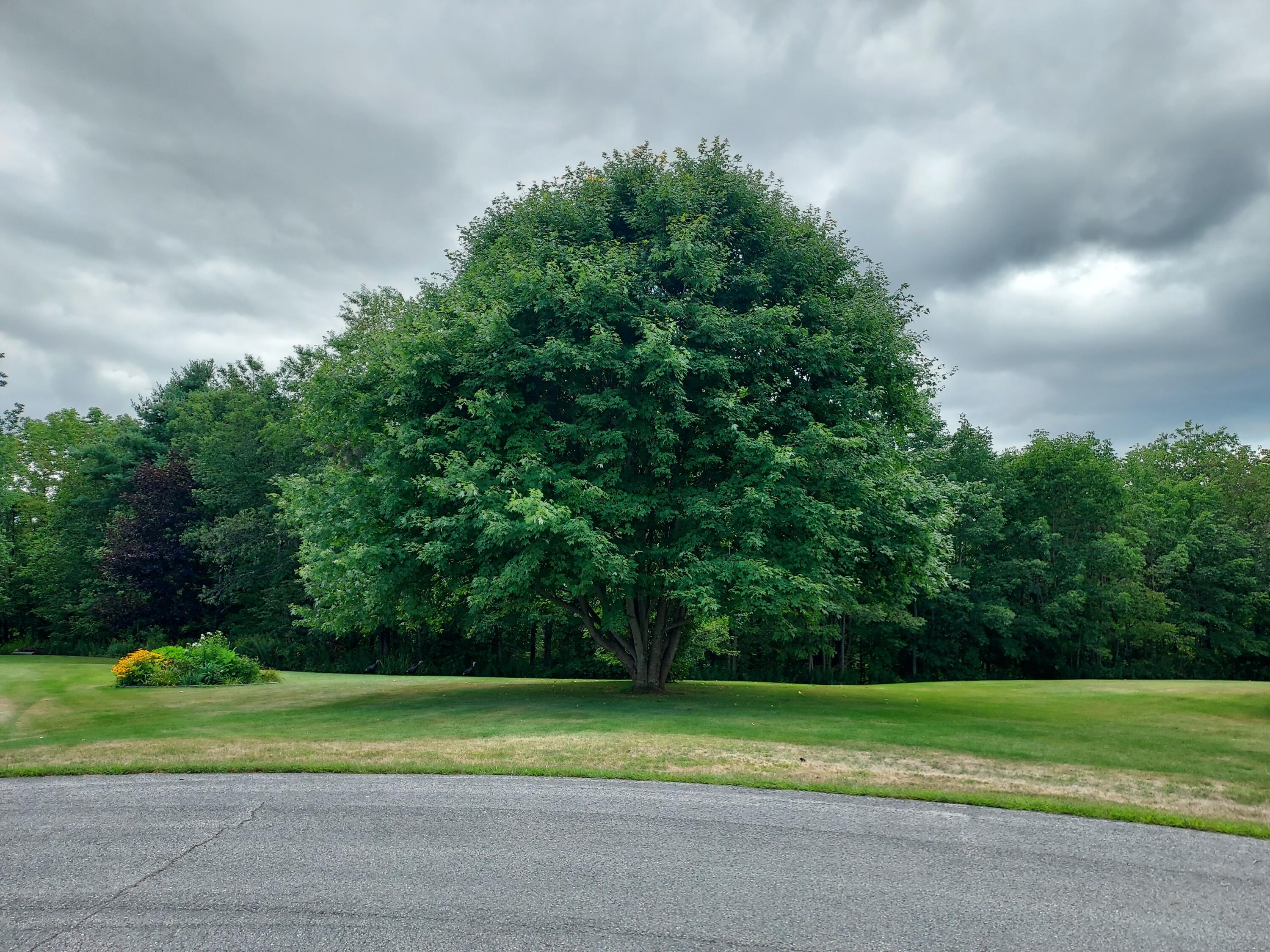 Photo of 27 Emery Avenue Thomaston ME 04861