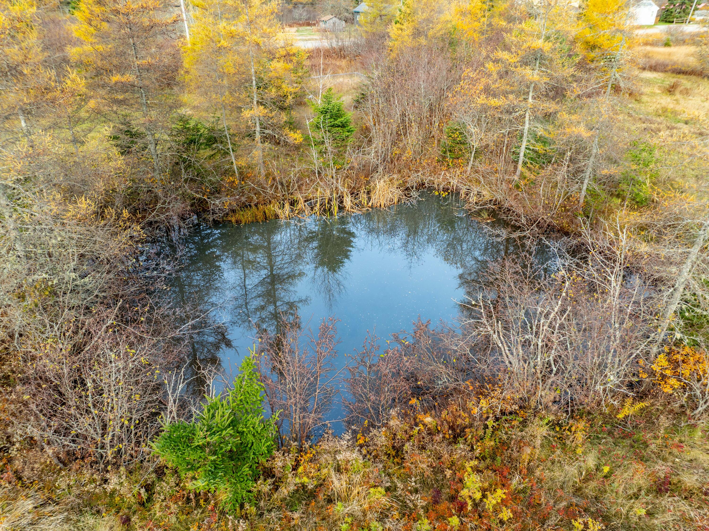 72 Old US Rte 1, Jonesboro, ME, 04648