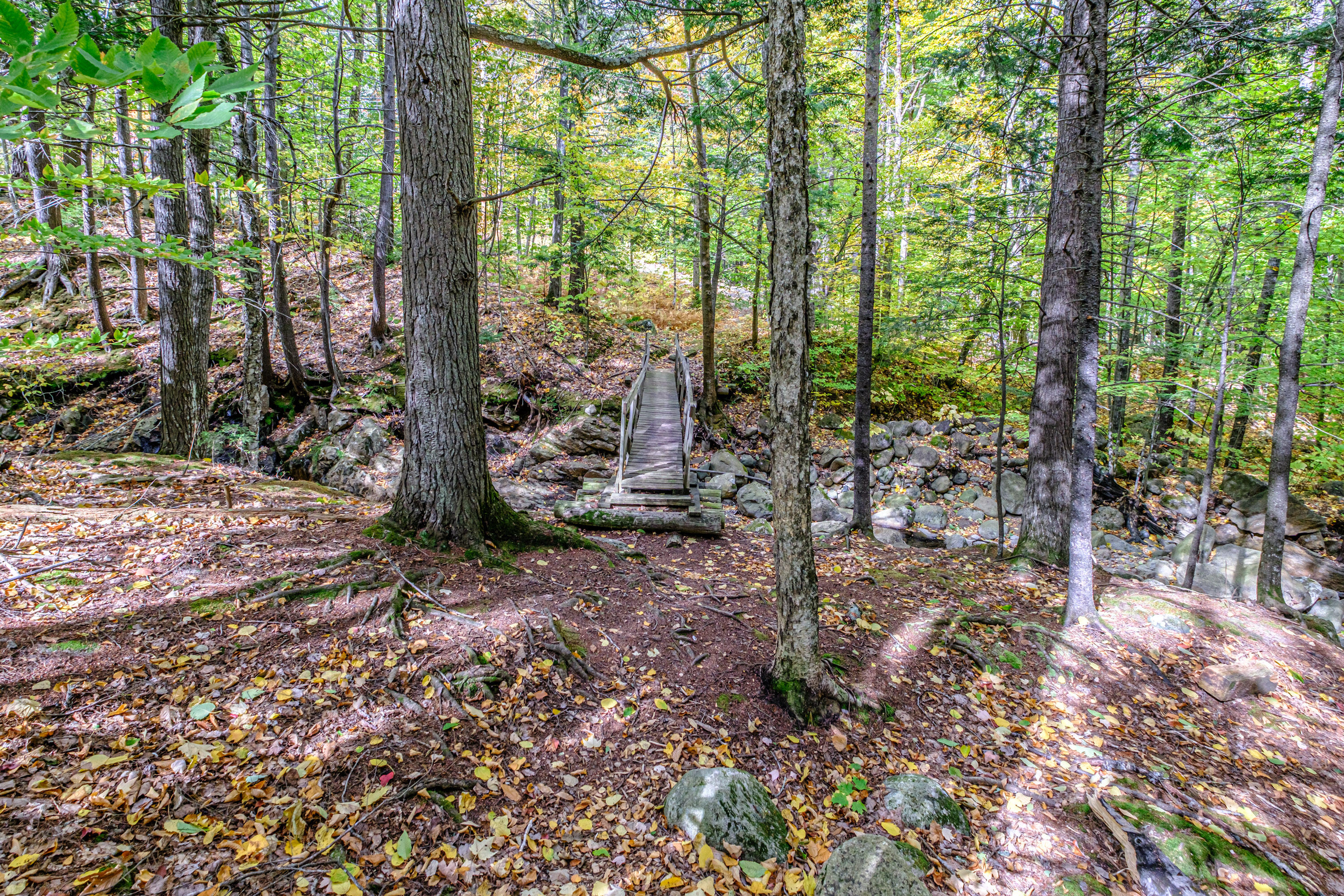45 Viking Village Road, Newry, ME, 04261-3247