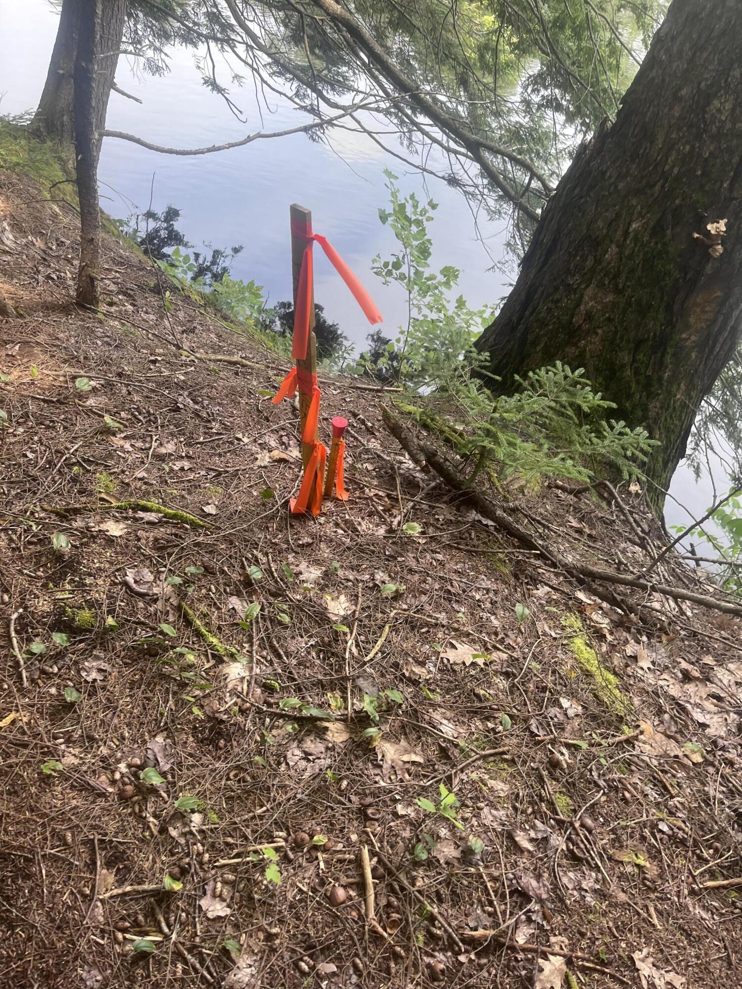 TBD Spruce Drive, Anson, ME, 04911