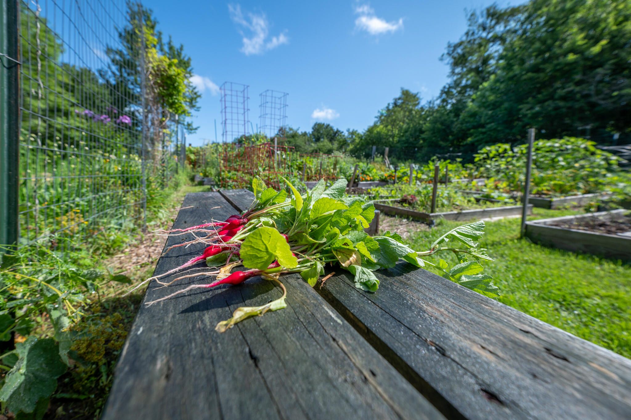 58 Harbor View Drive UNIT 58, Stockton Springs, ME, 04981