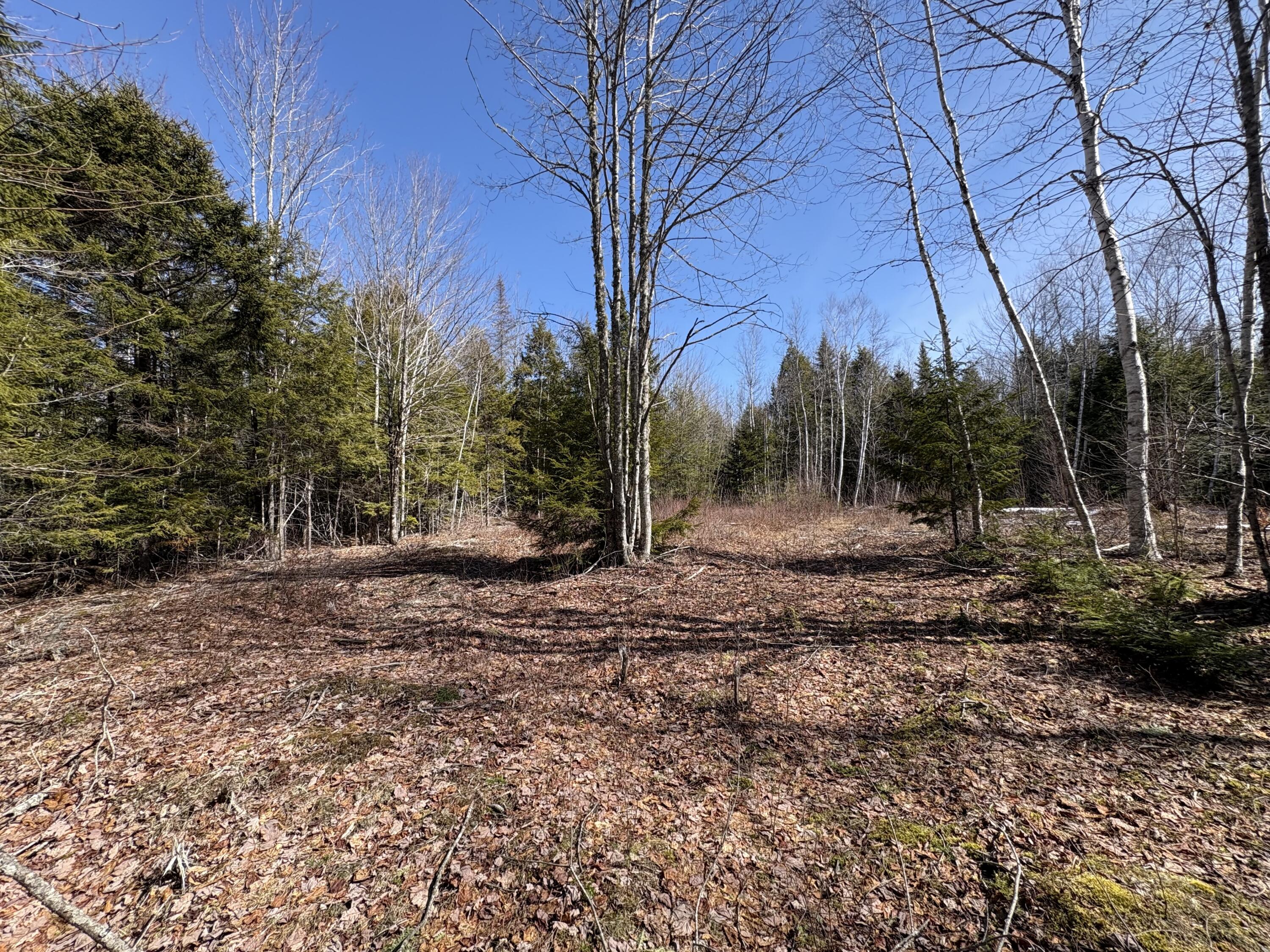 Lot 116 Bass Overlook, Waltham, ME, 04605