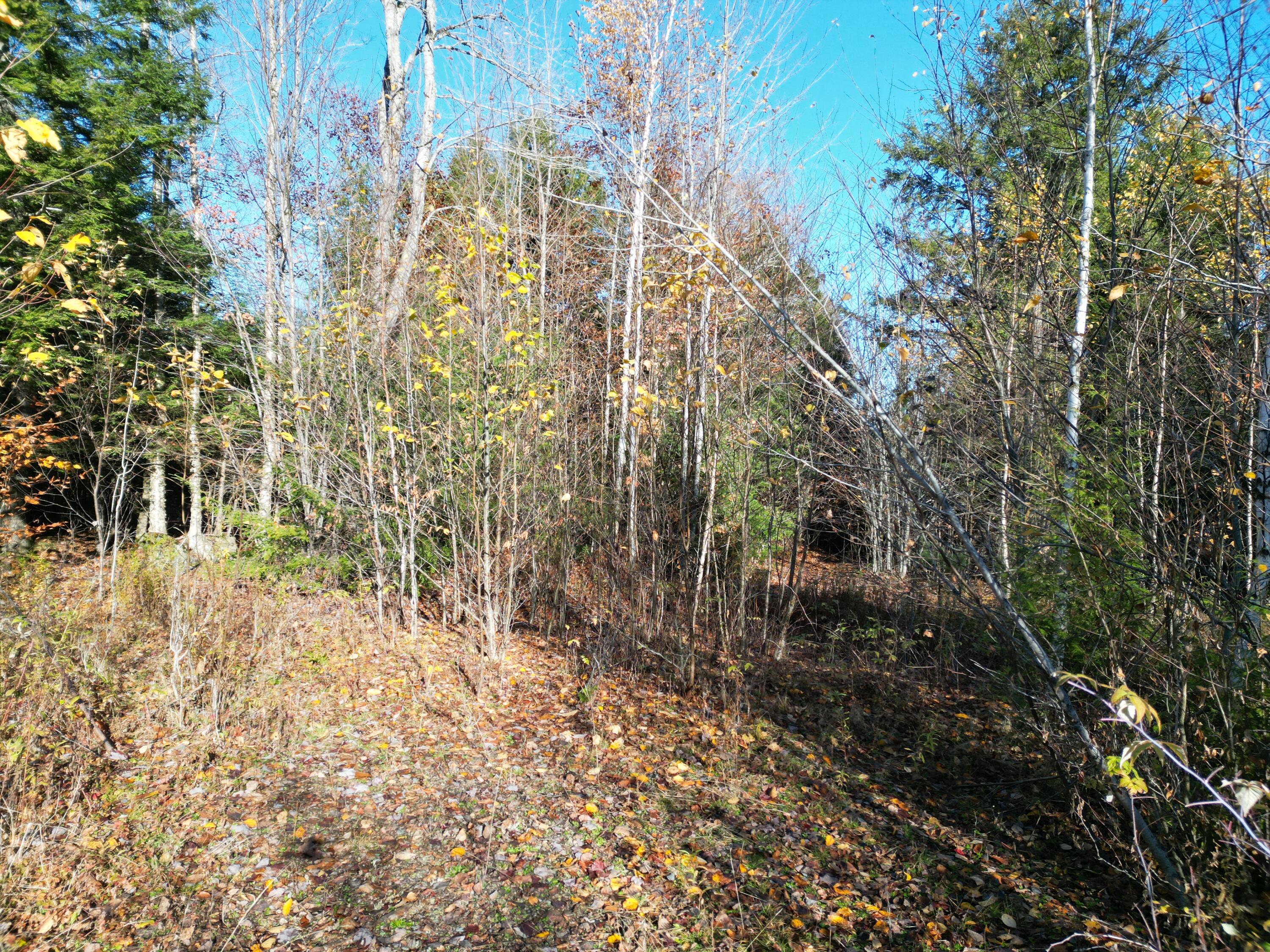Lot 18-1 Mattamiscontis Road, Howland, ME, 04448
