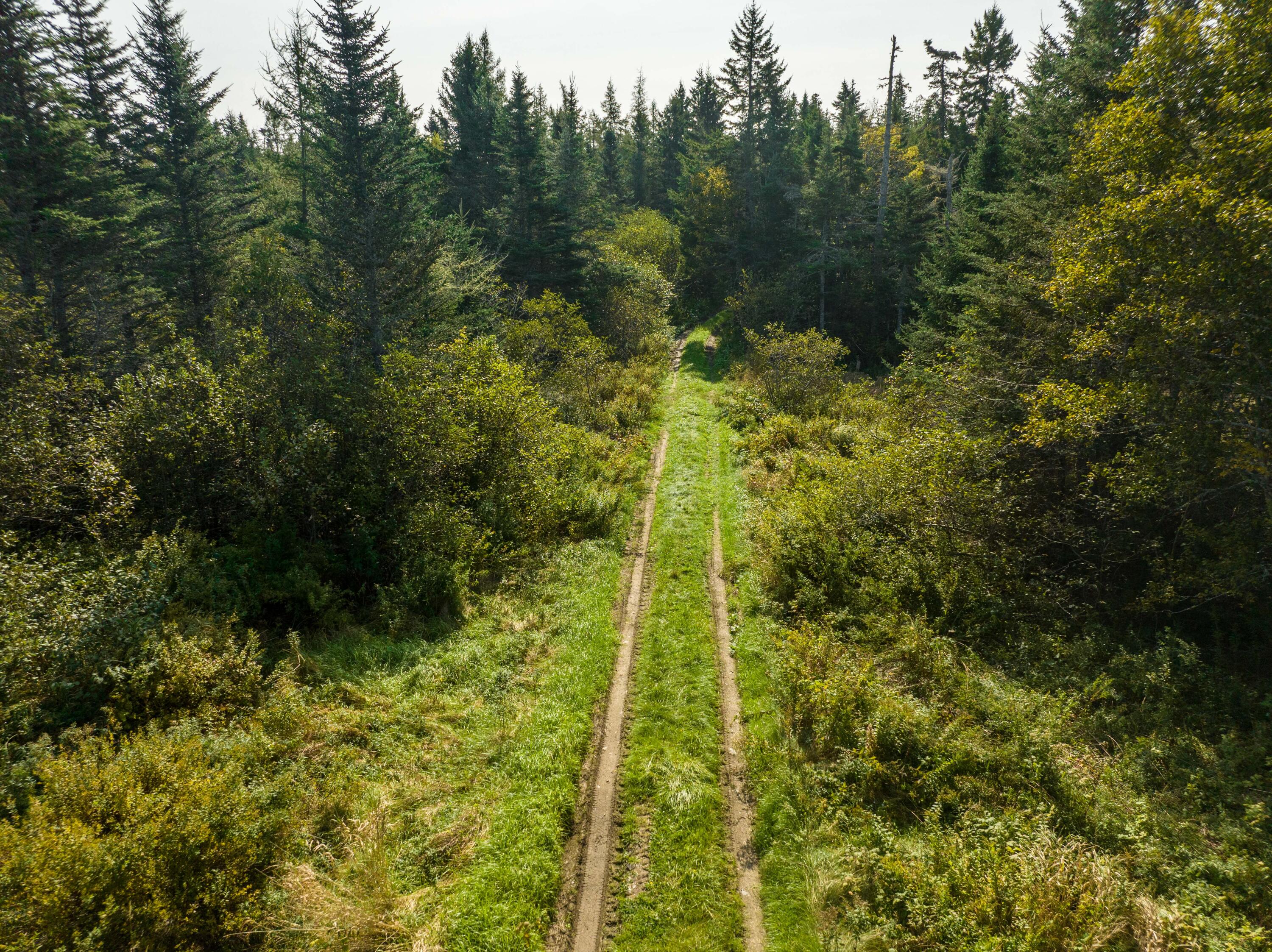 117 Denbow Road, Lubec, ME, 04652