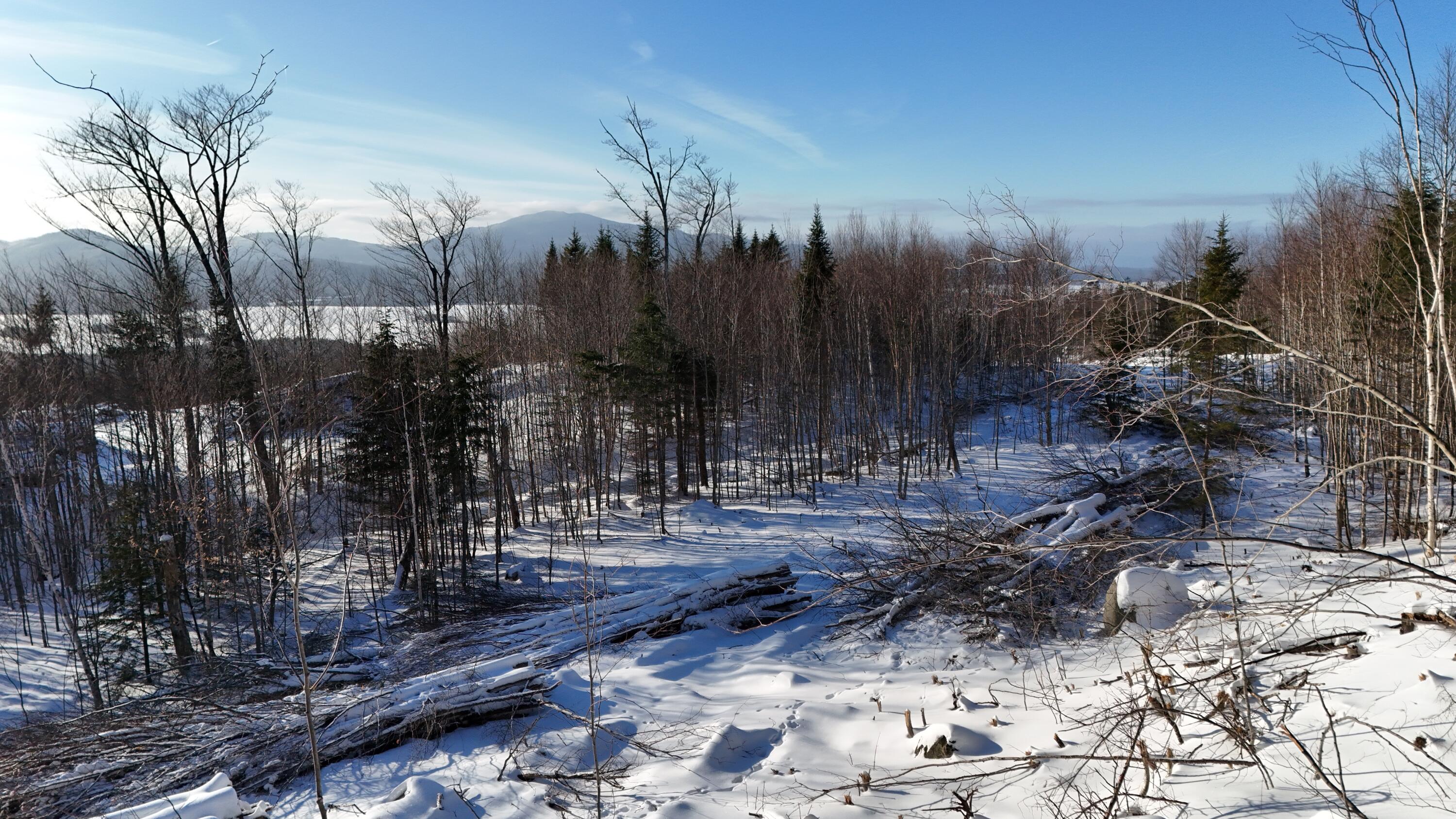 Lot 12 Blair Hill Road, Greenville, ME, 04441