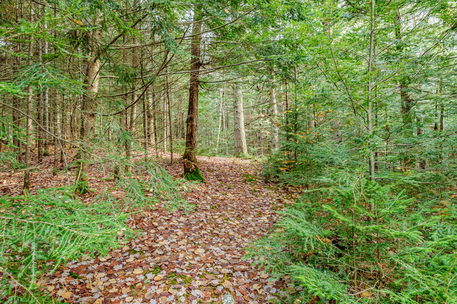 143 Westwood Road, Bethel, ME, 04217-3070