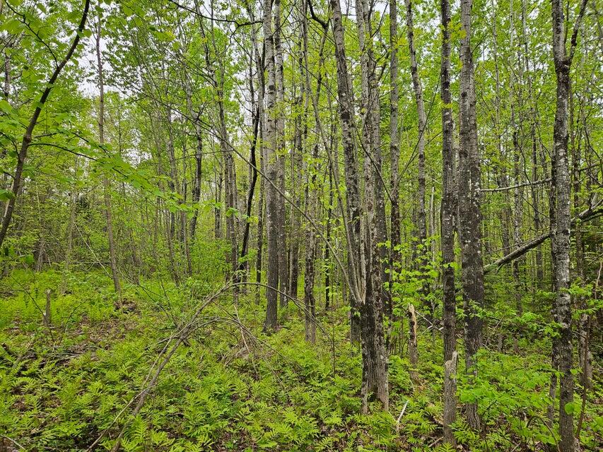 681 Mile Hill Road, New Sharon, ME, 04955