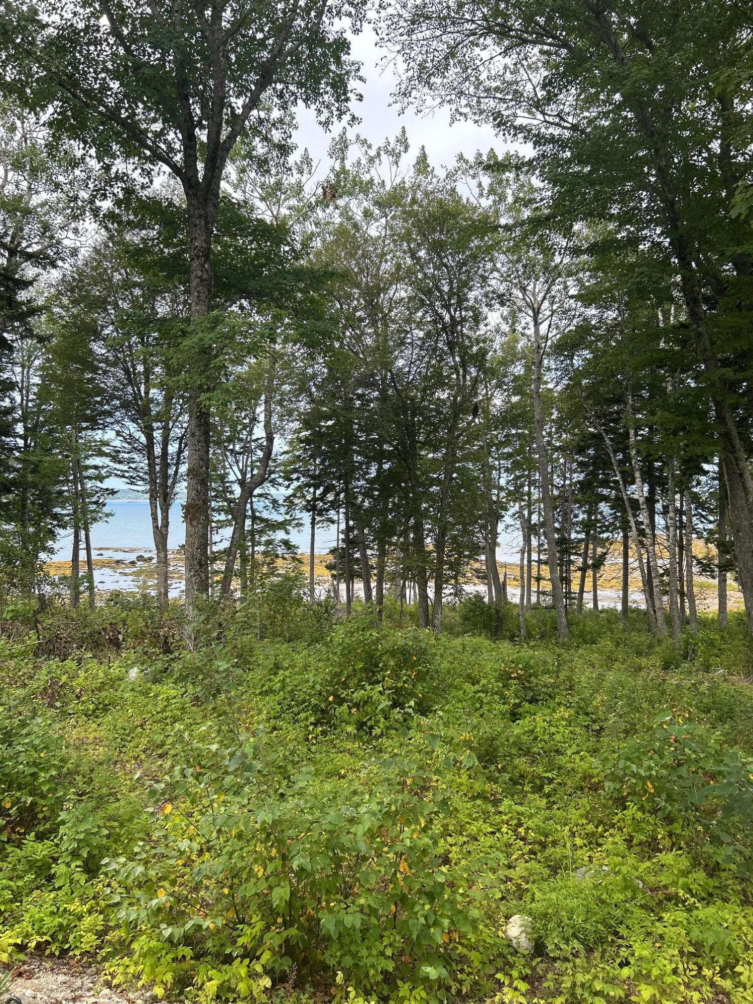 216 S Estates Road, Steuben, ME, 04680